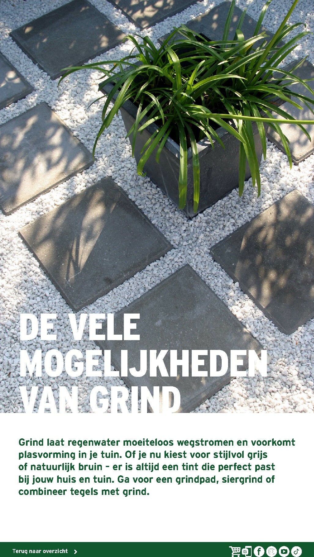 gamma - De Gamma - Tuinmagazine voor het najaar folder geldig vanaf 16-10 t/m 31-12 - page: 18