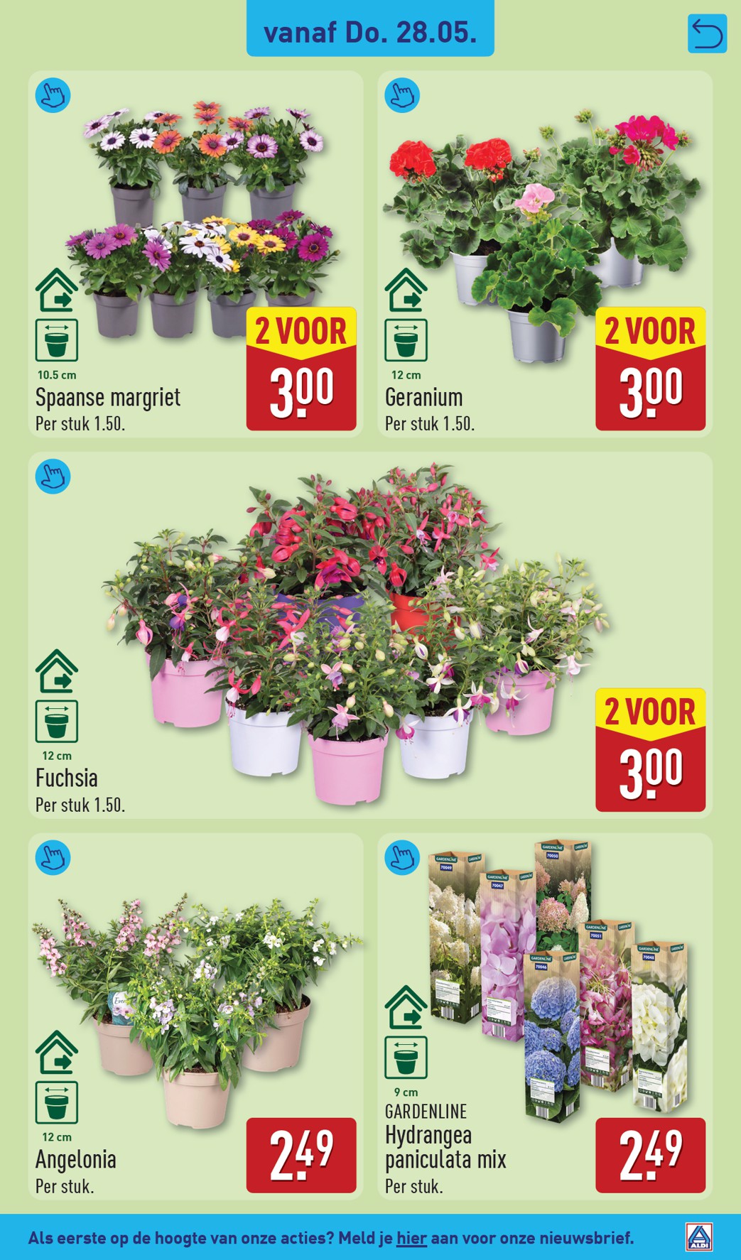 aldi - ALDI folder voor volgende week van dinsdag 26-05-2026 tot zondag 31-05-2026 - page: 39