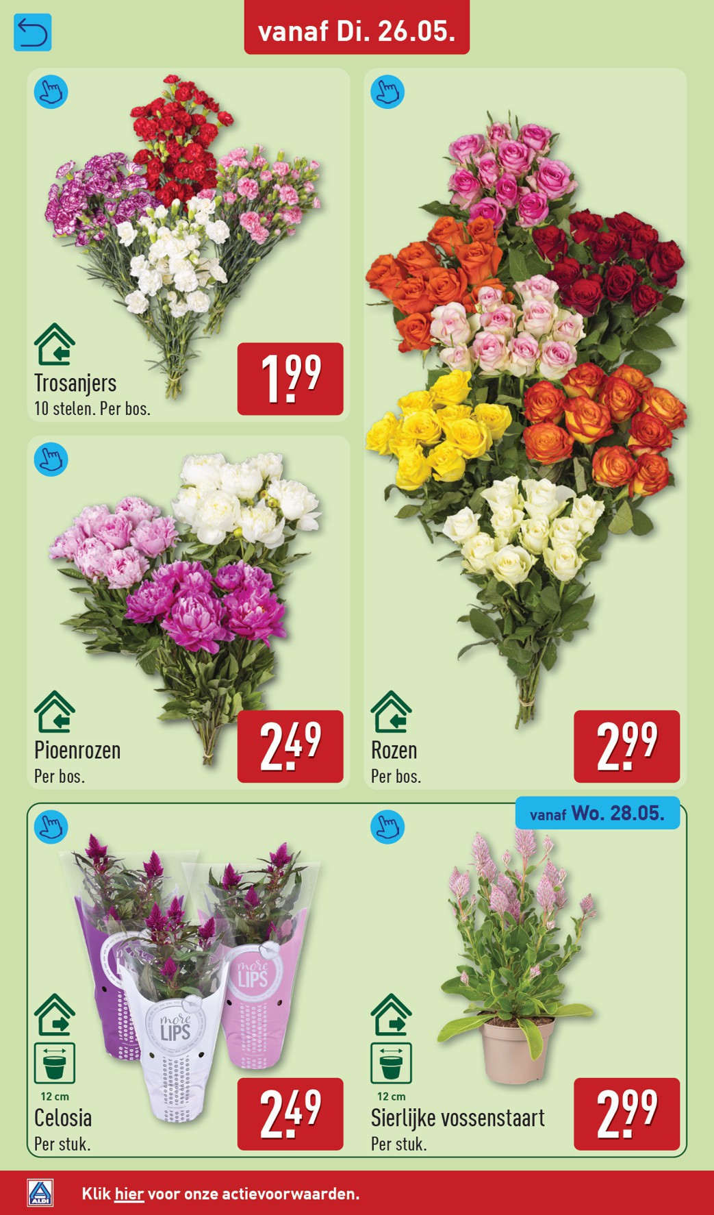 aldi - ALDI folder voor volgende week van dinsdag 26-05-2026 tot zondag 31-05-2026 - page: 38