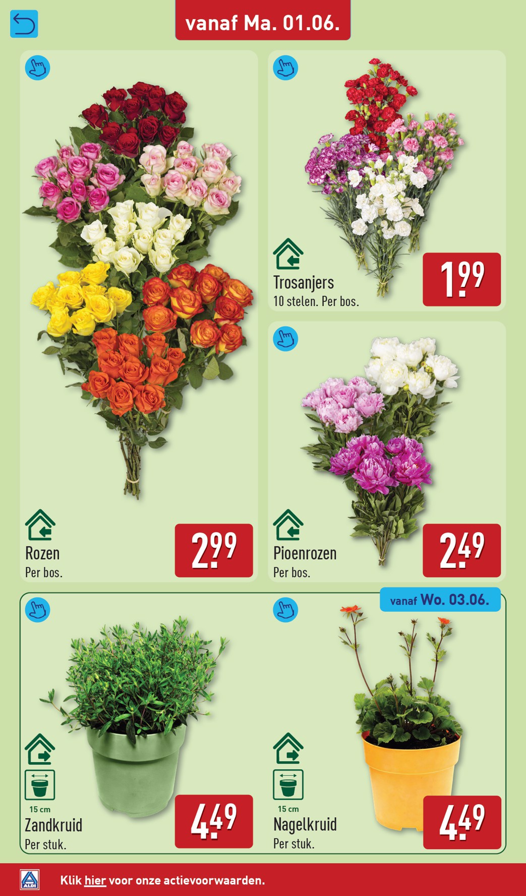 aldi - ALDI folder voor volgende week van maandag 01-06-2026 tot zondag 07-06-2026 - page: 36