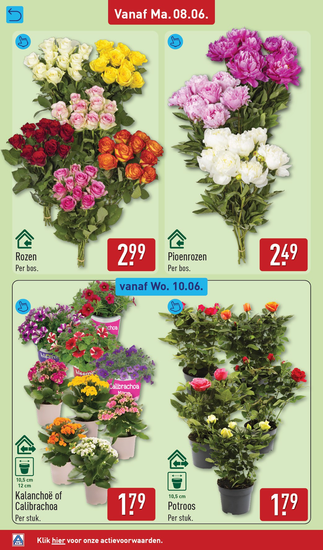 aldi - ALDI folder voor volgende week van maandag 08-06-2026 tot zondag 14-06-2026 - page: 30