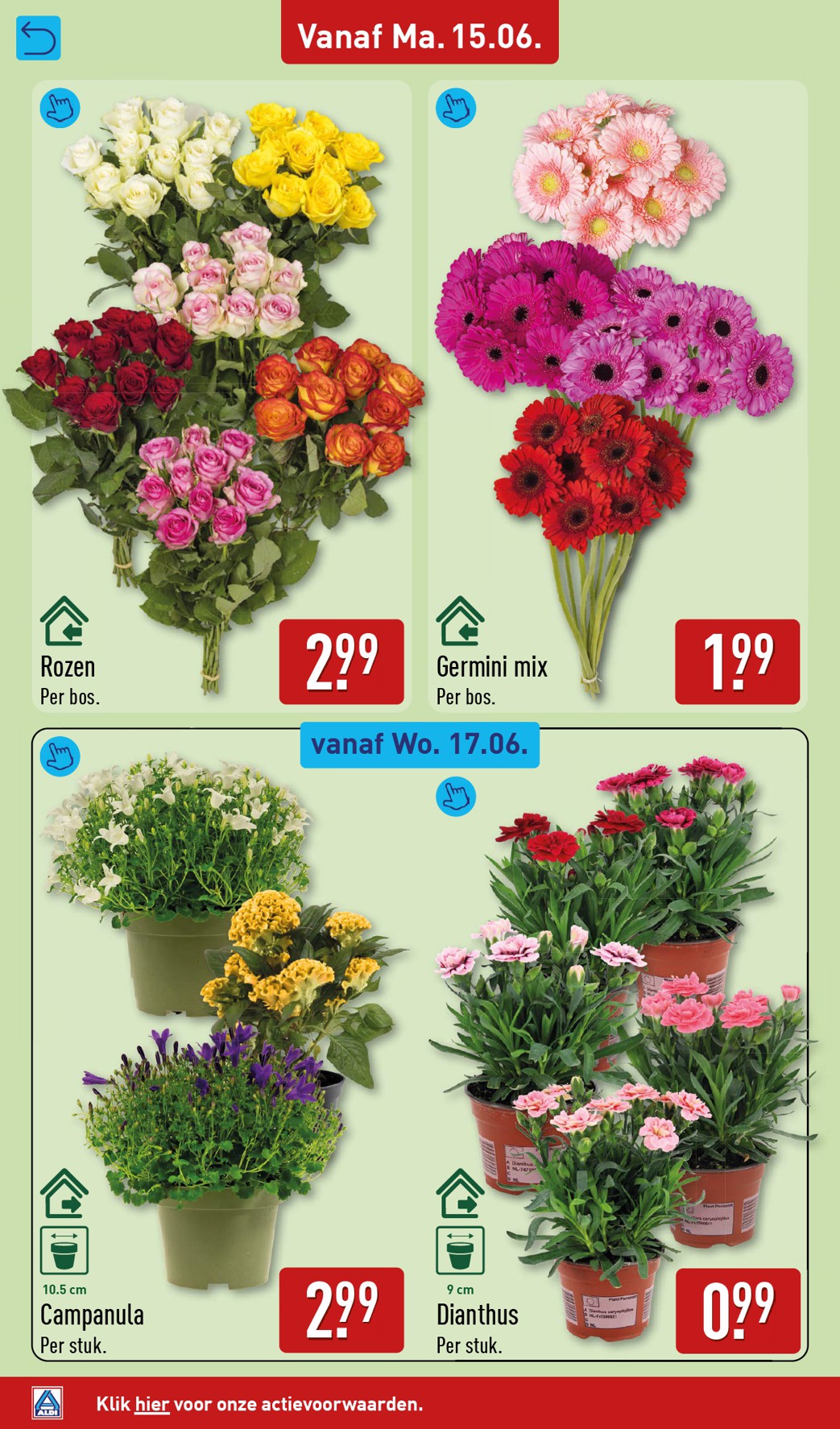 aldi - ALDI folder voor volgende week van maandag 15-06-2026 tot zondag 21-06-2026 - page: 40