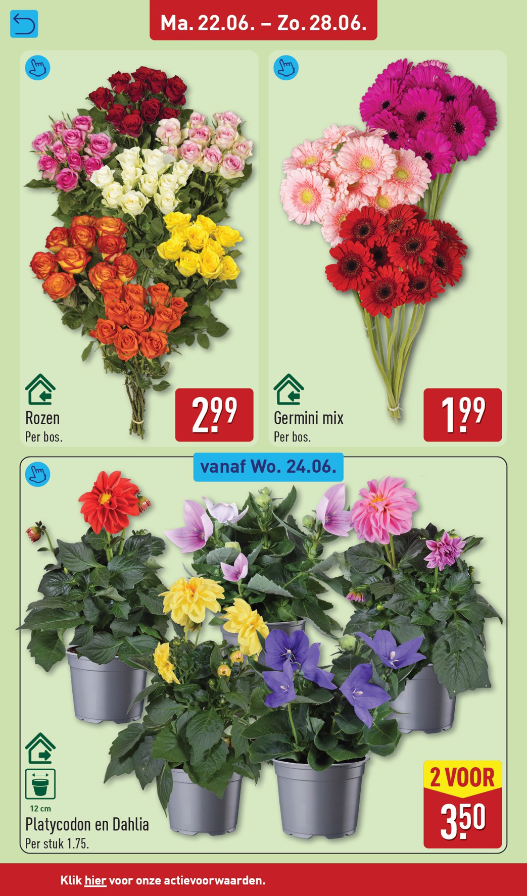 aldi - Huidige ALDI folder geldig van maandag 22-06-2026 tot zondag 28-06-2026 - page: 38