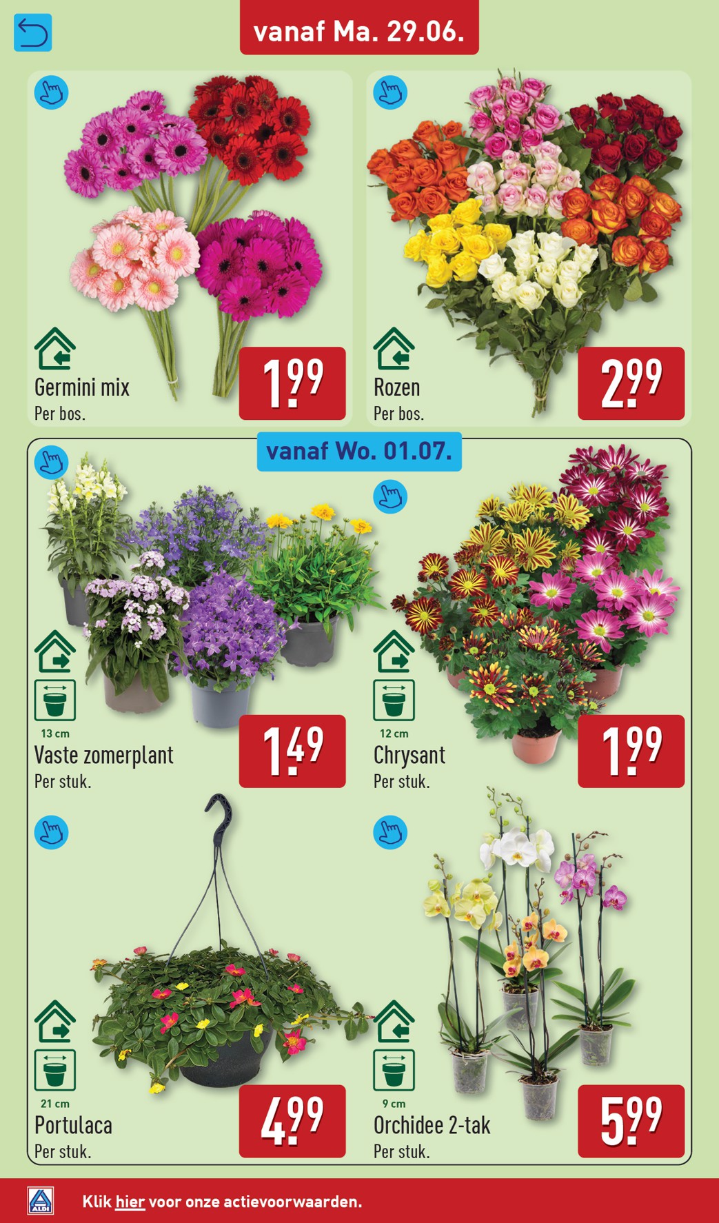 aldi - ALDI folder voor volgende week van maandag 29-06-2026 tot zondag 05-07-2026 - page: 32