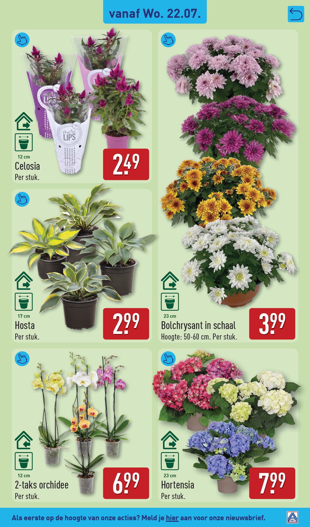 aldi - ALDI folder voor volgende week van maandag 20-07-2026 tot zondag 26-07-2026 - page: 37