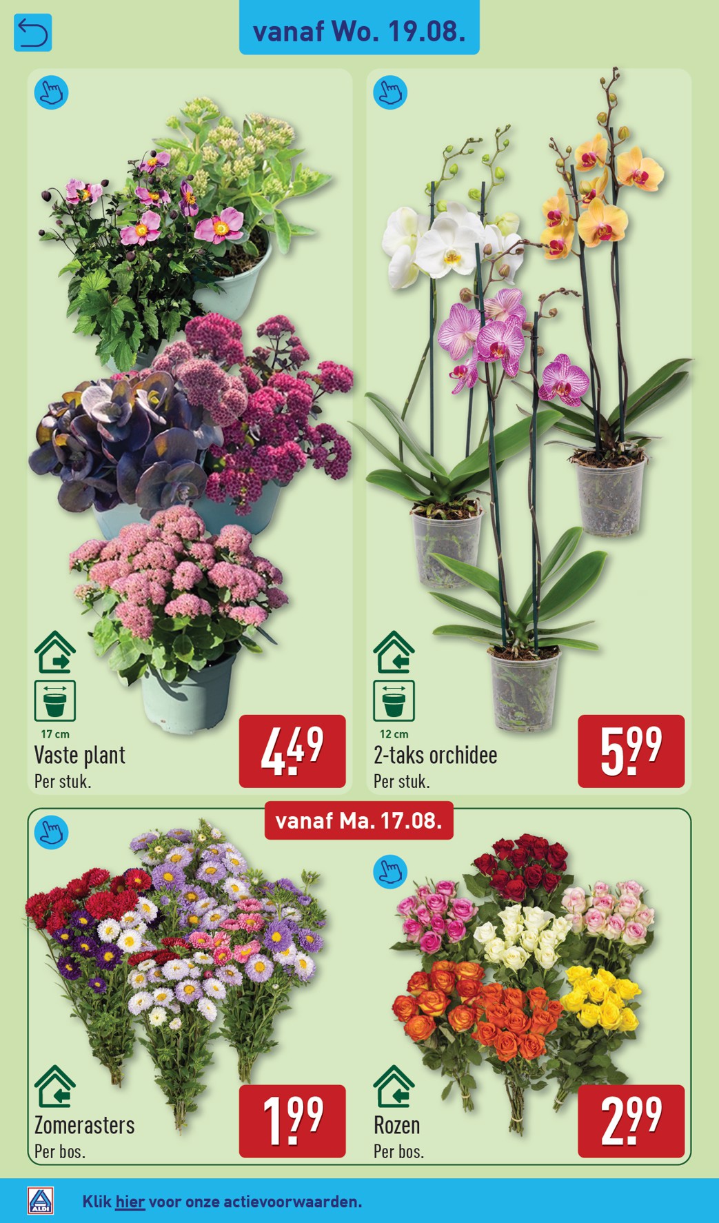 aldi - ALDI folder voor volgende week van maandag 17-08-2026 tot zondag 23-08-2026 - page: 30