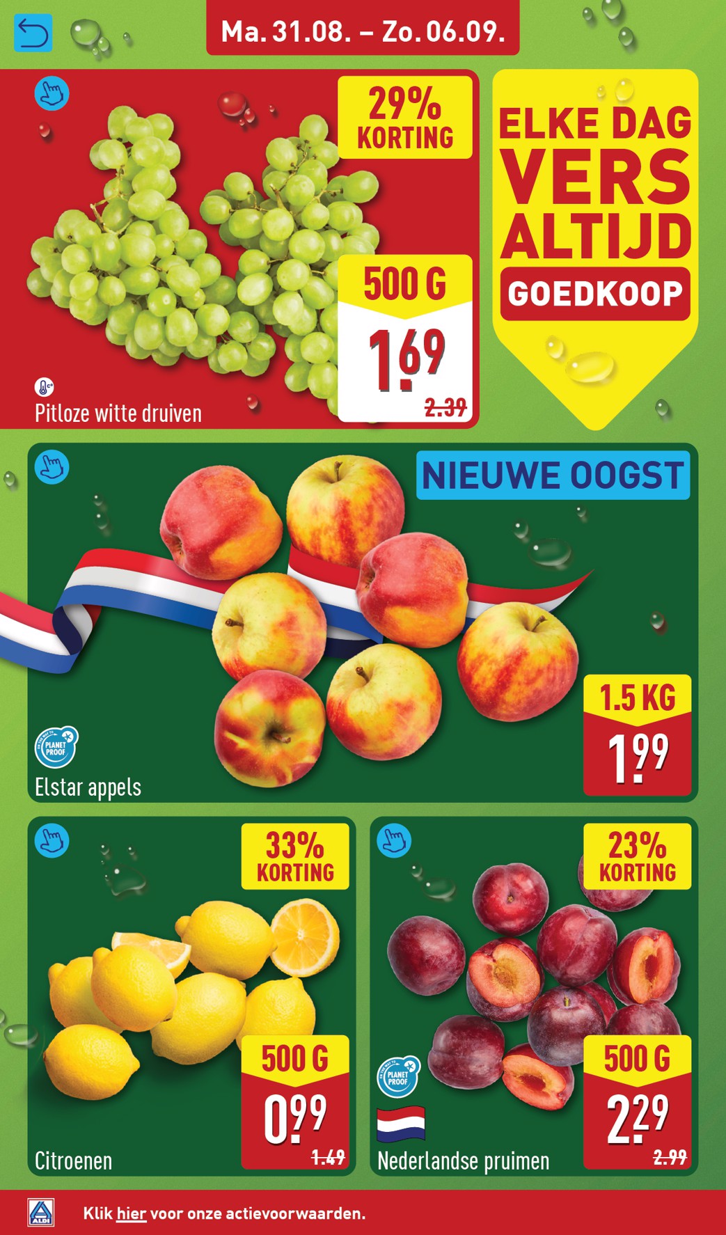 aldi - ALDI folder voor volgende week van maandag 31-08-2026 tot zondag 06-09-2026 - page: 4