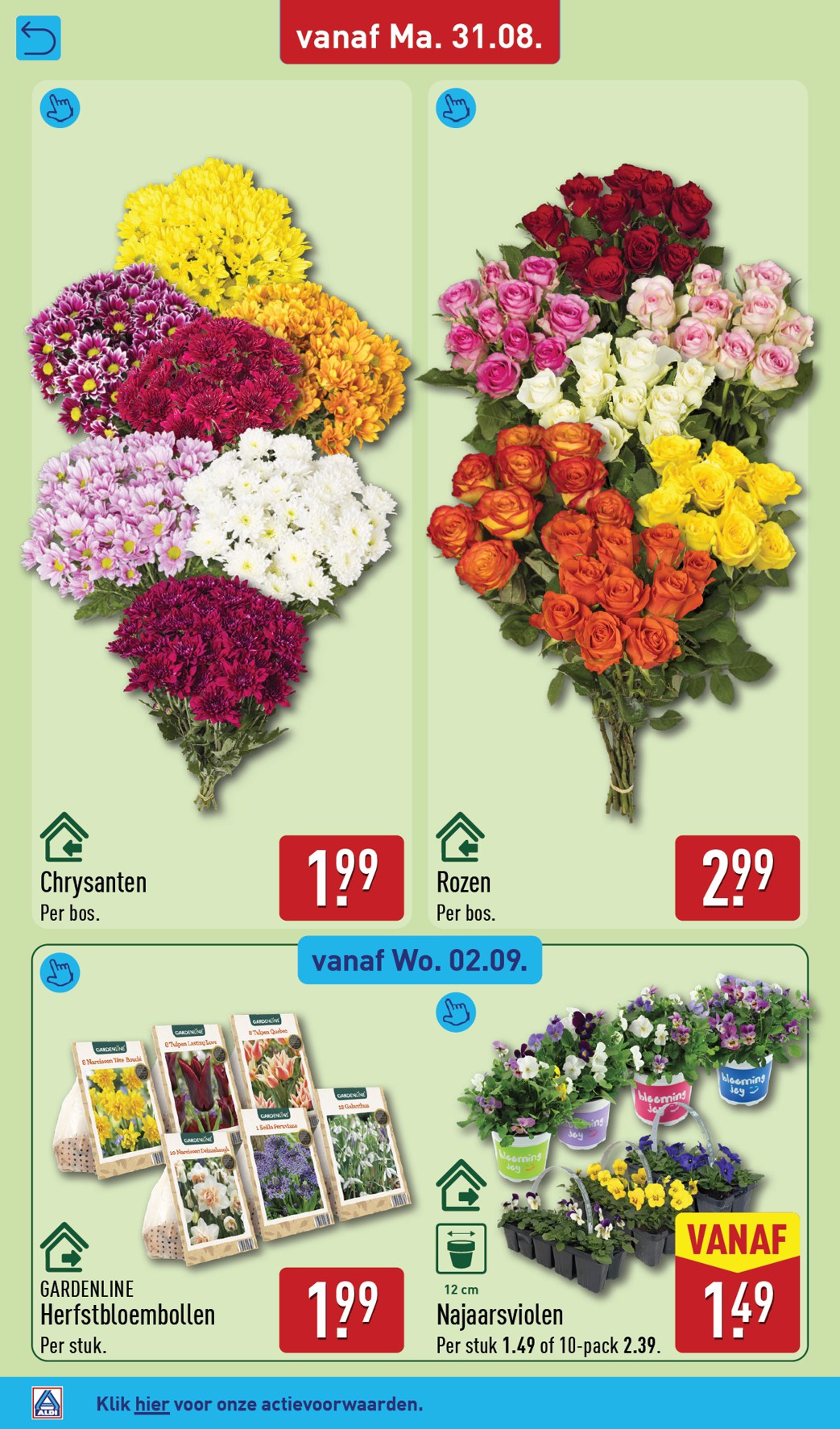 aldi - ALDI folder voor volgende week van maandag 31-08-2026 tot zondag 06-09-2026 - page: 54