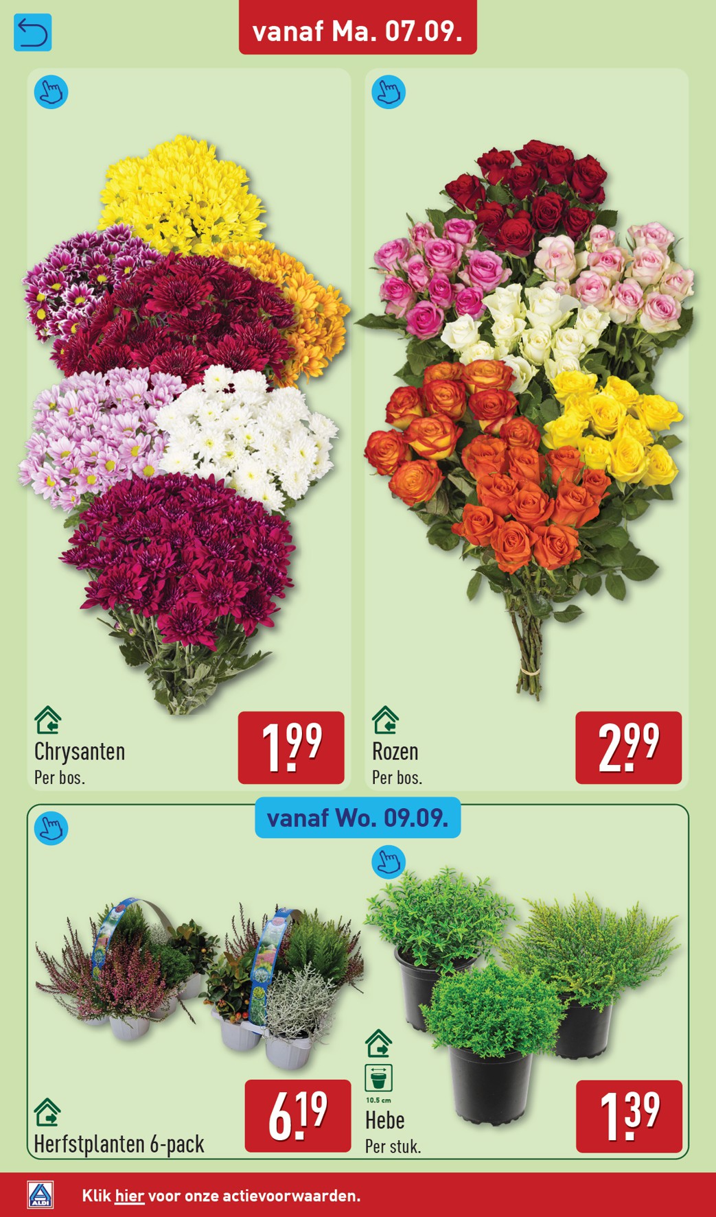 aldi - ALDI folder voor volgende week van maandag 07-09-2026 tot zondag 13-09-2026 - page: 34