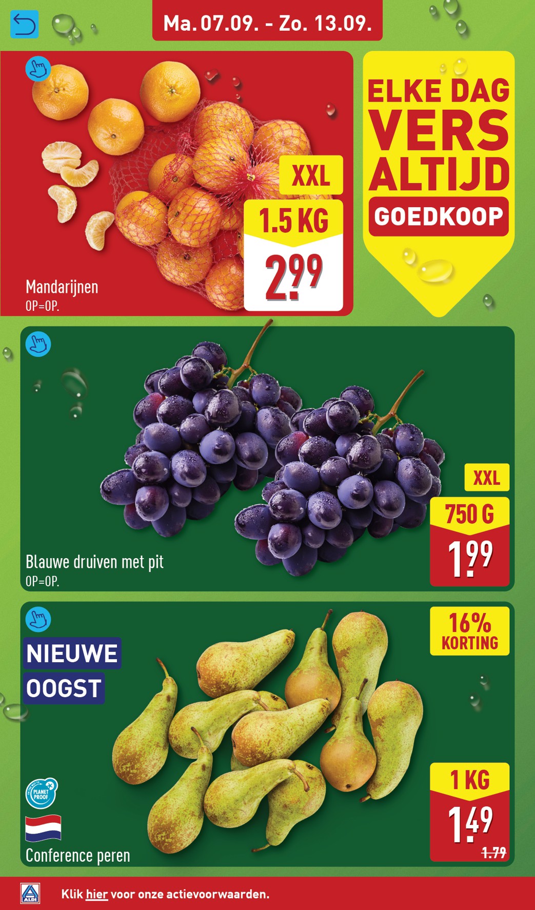 aldi - ALDI folder voor volgende week van maandag 07-09-2026 tot zondag 13-09-2026 - page: 4