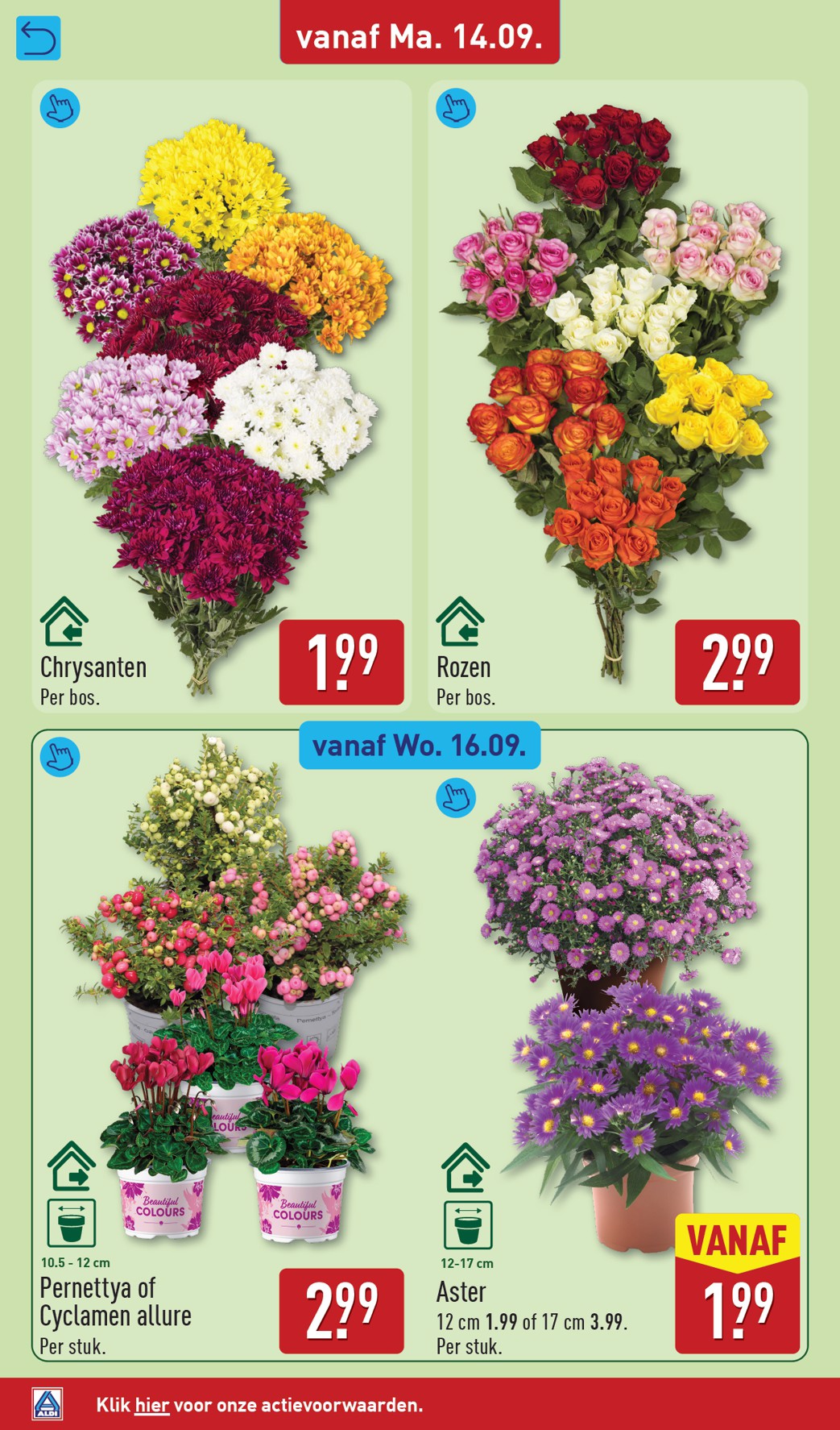 aldi - ALDI folder voor volgende week van maandag 14-09-2026 tot zondag 20-09-2026 - page: 32