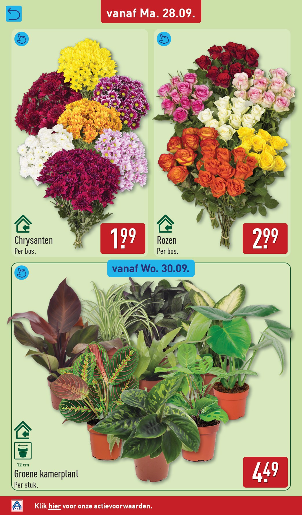 aldi - ALDI folder voor volgende week van maandag 28-09-2026 tot zondag 04-10-2026 - page: 36