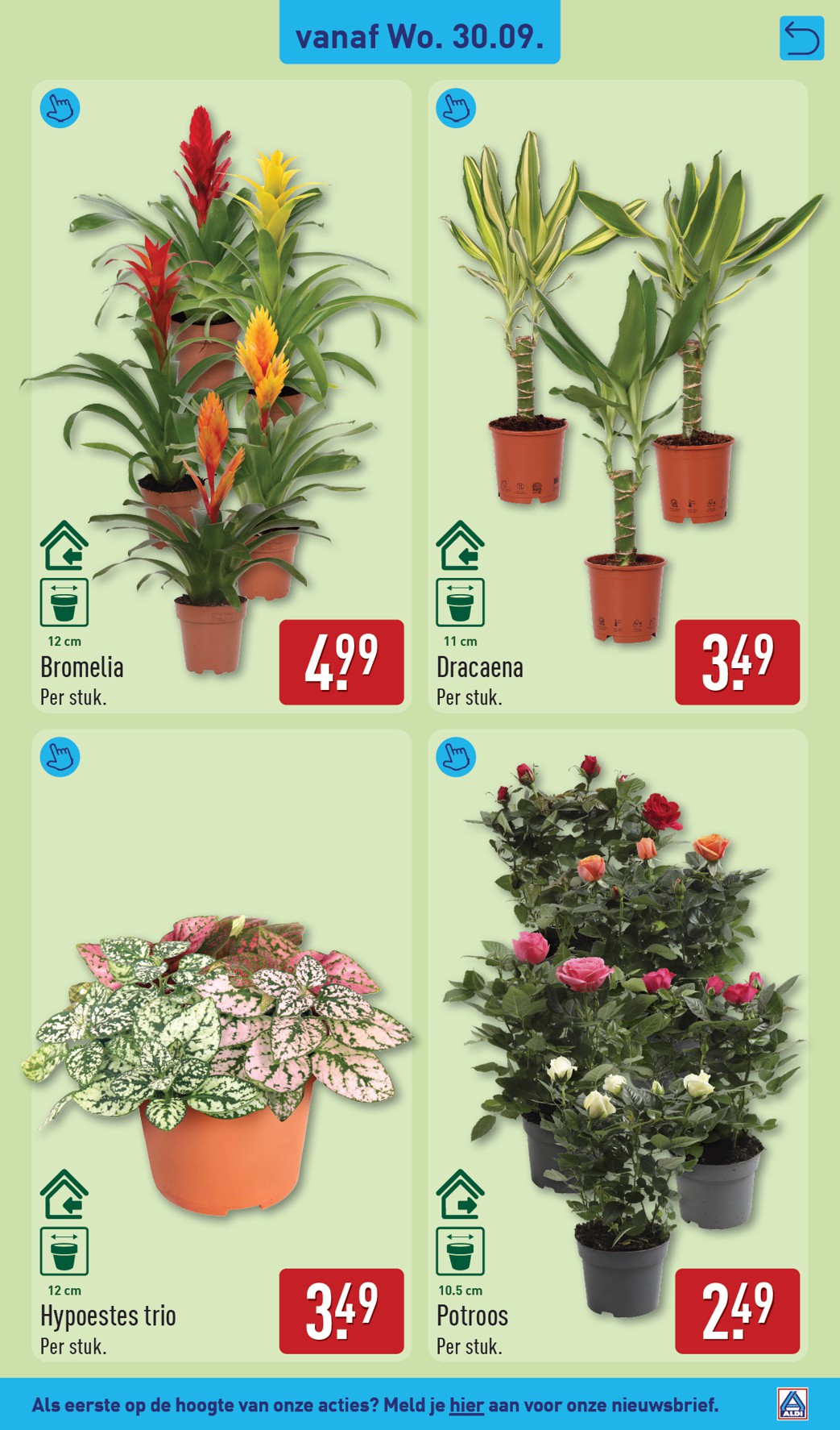 aldi - ALDI folder voor volgende week van maandag 28-09-2026 tot zondag 04-10-2026 - page: 37