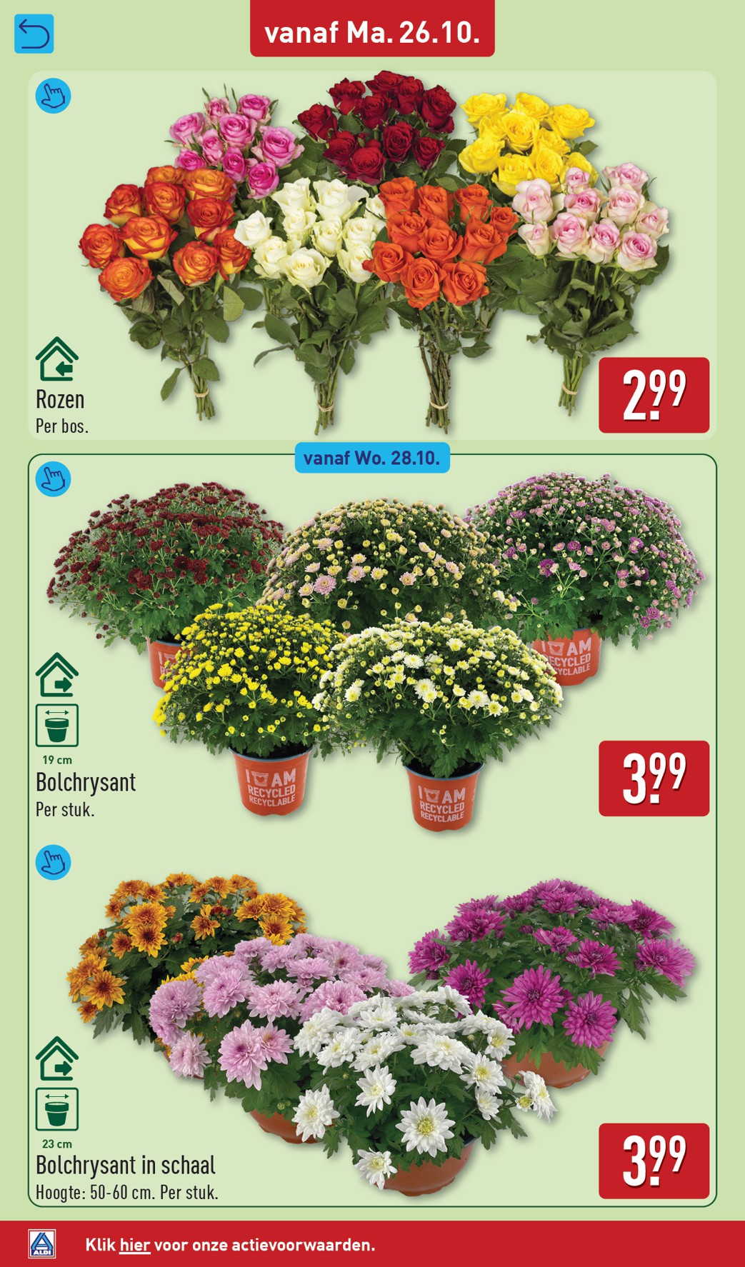 aldi - ALDI folder voor volgende week van maandag 26-10-2026 tot zondag 01-11-2026 - page: 36