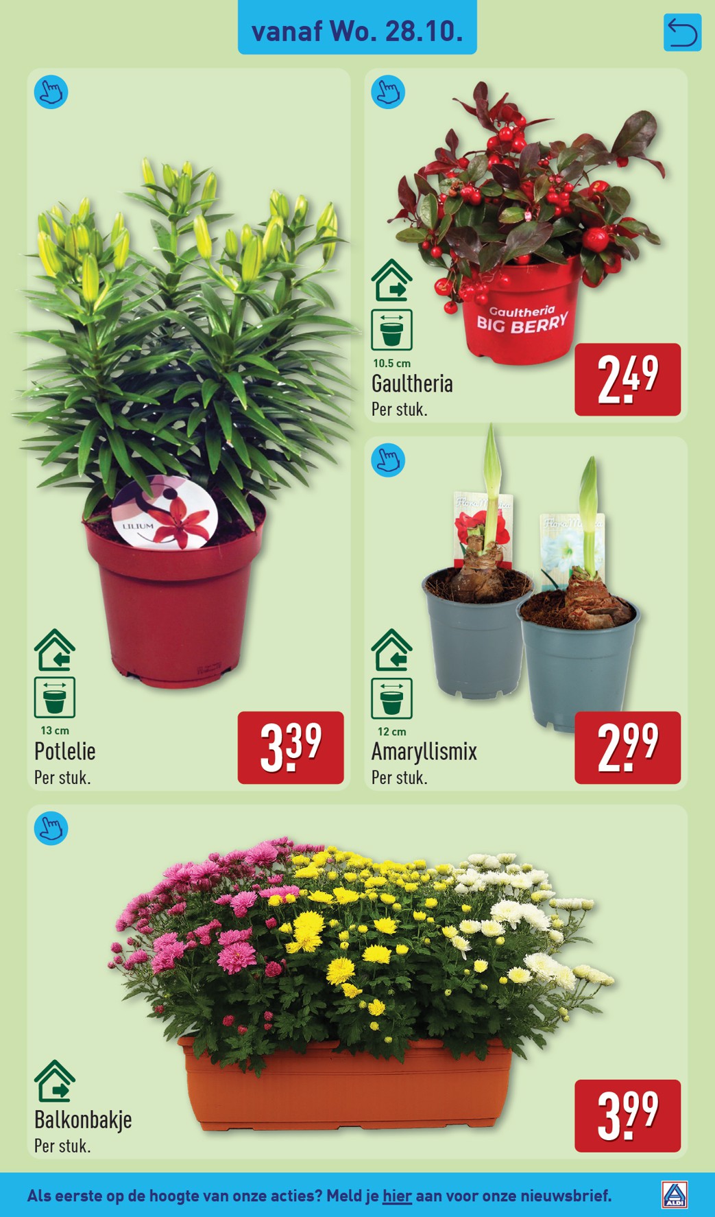 aldi - ALDI folder voor volgende week van maandag 26-10-2026 tot zondag 01-11-2026 - page: 37