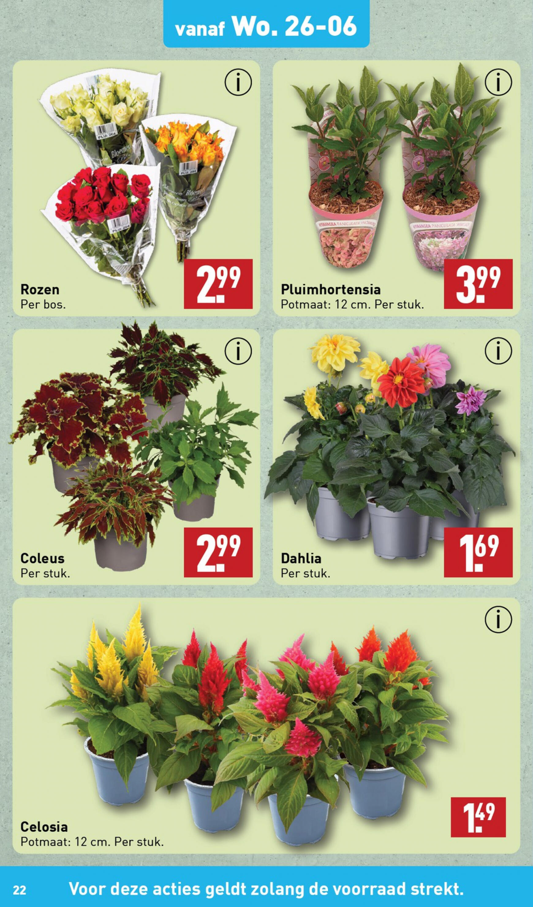 aldi - ALDI folder huidig 24.06. - 30.06. - page: 22