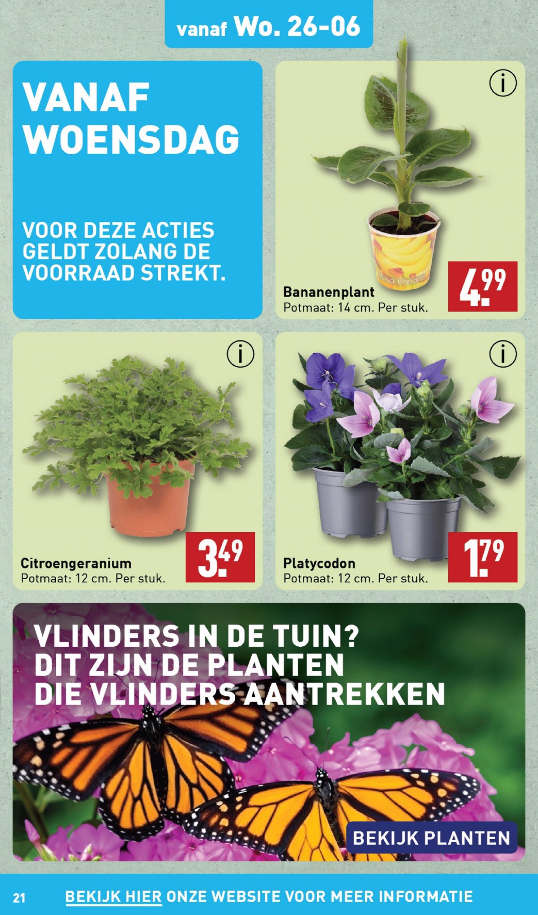 aldi - ALDI folder huidig 24.06. - 30.06. - page: 21