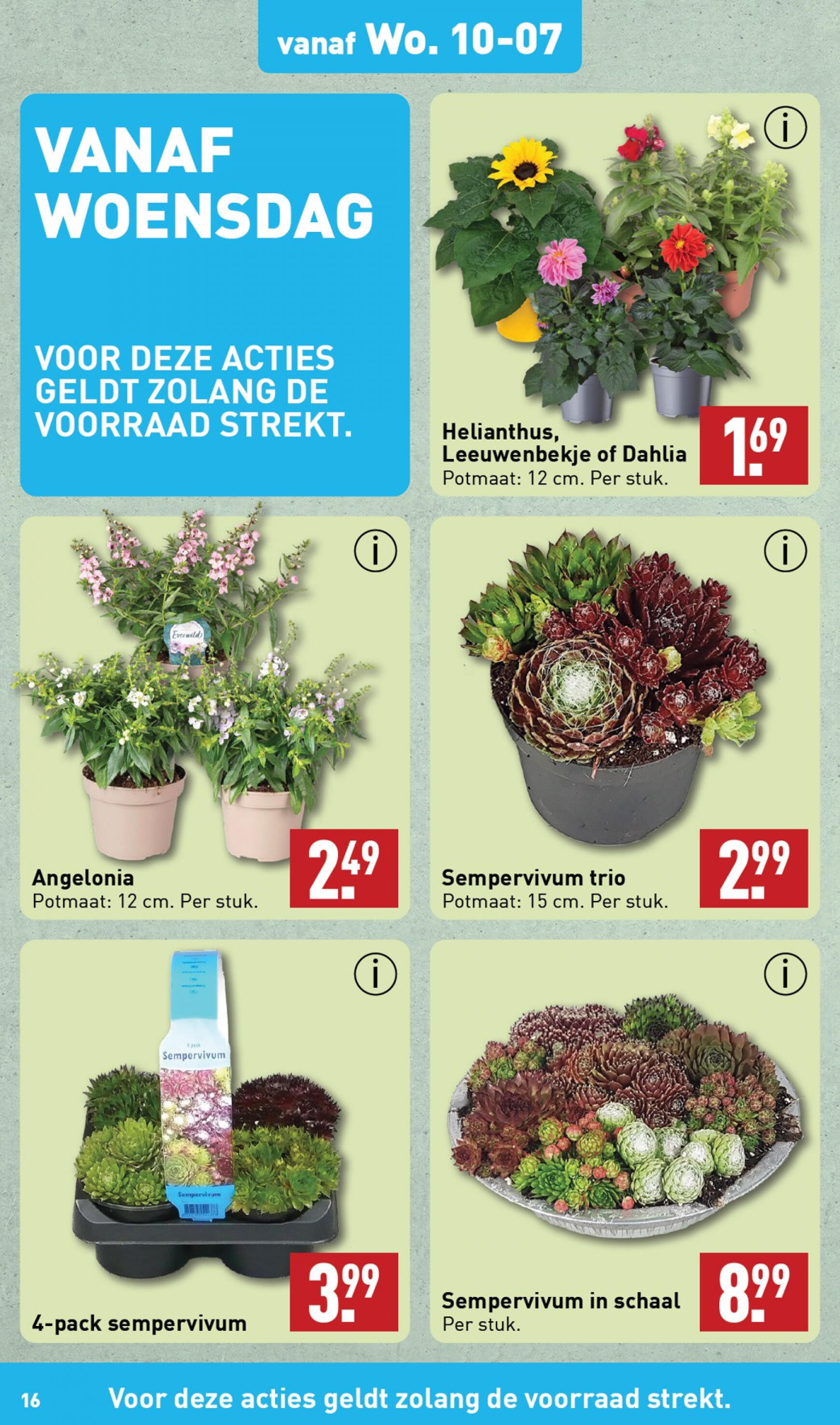 aldi - ALDI folder huidig 08.07. - 14.07. - page: 16