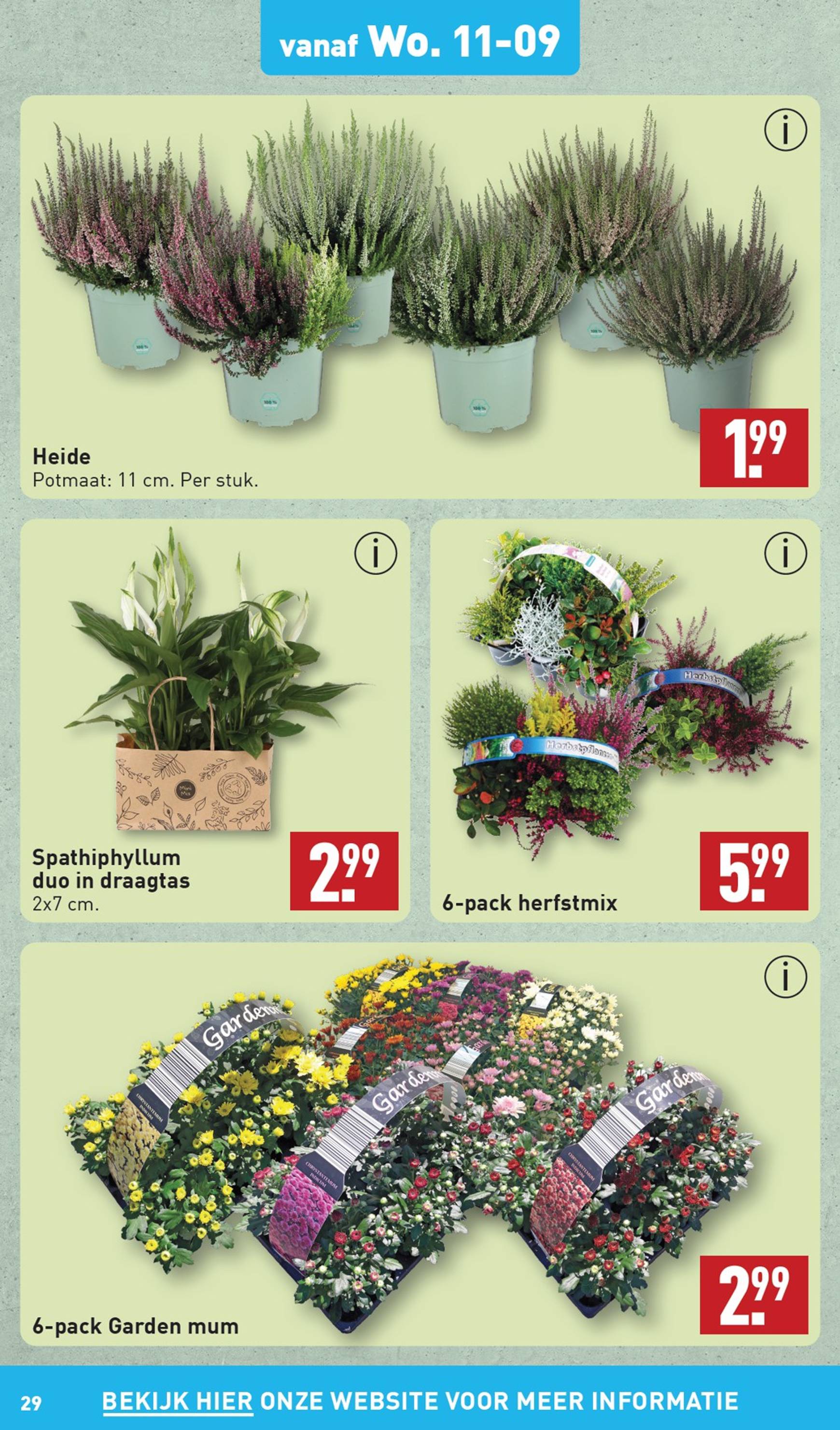 aldi - ALDI folder huidig 09.09. - 15.09. - page: 29