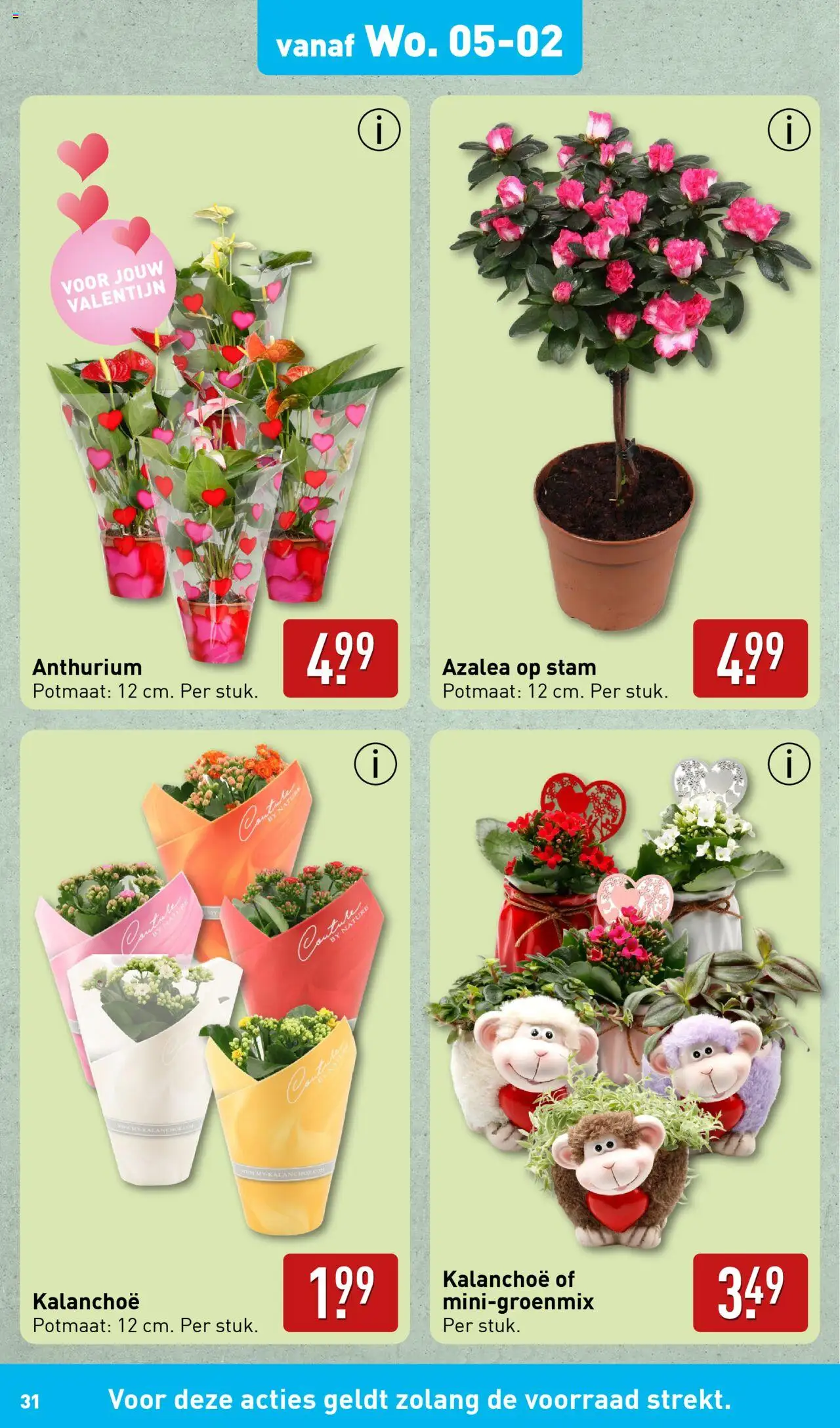 aldi - Aldi VALENTIJNSDAG 2025 03-02-2025 t/m 09-02-2025 - page: 31