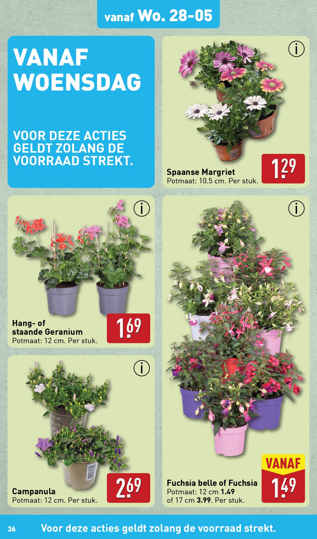 aldi - ALDI folder geldig vanaf 26-05 t/m 01-06 - page: 36 aldi - ALDI folder geldig vanaf 26-05 t/m 01-06 - page: 36