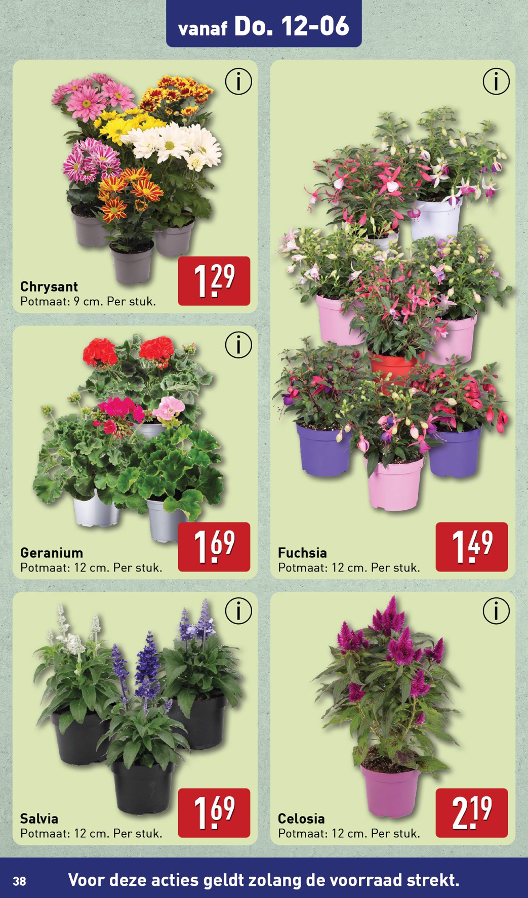 aldi - ALDI folder geldig vanaf 10-06 t/m 15-06 - page: 38 aldi - ALDI folder geldig vanaf 10-06 t/m 15-06 - page: 38