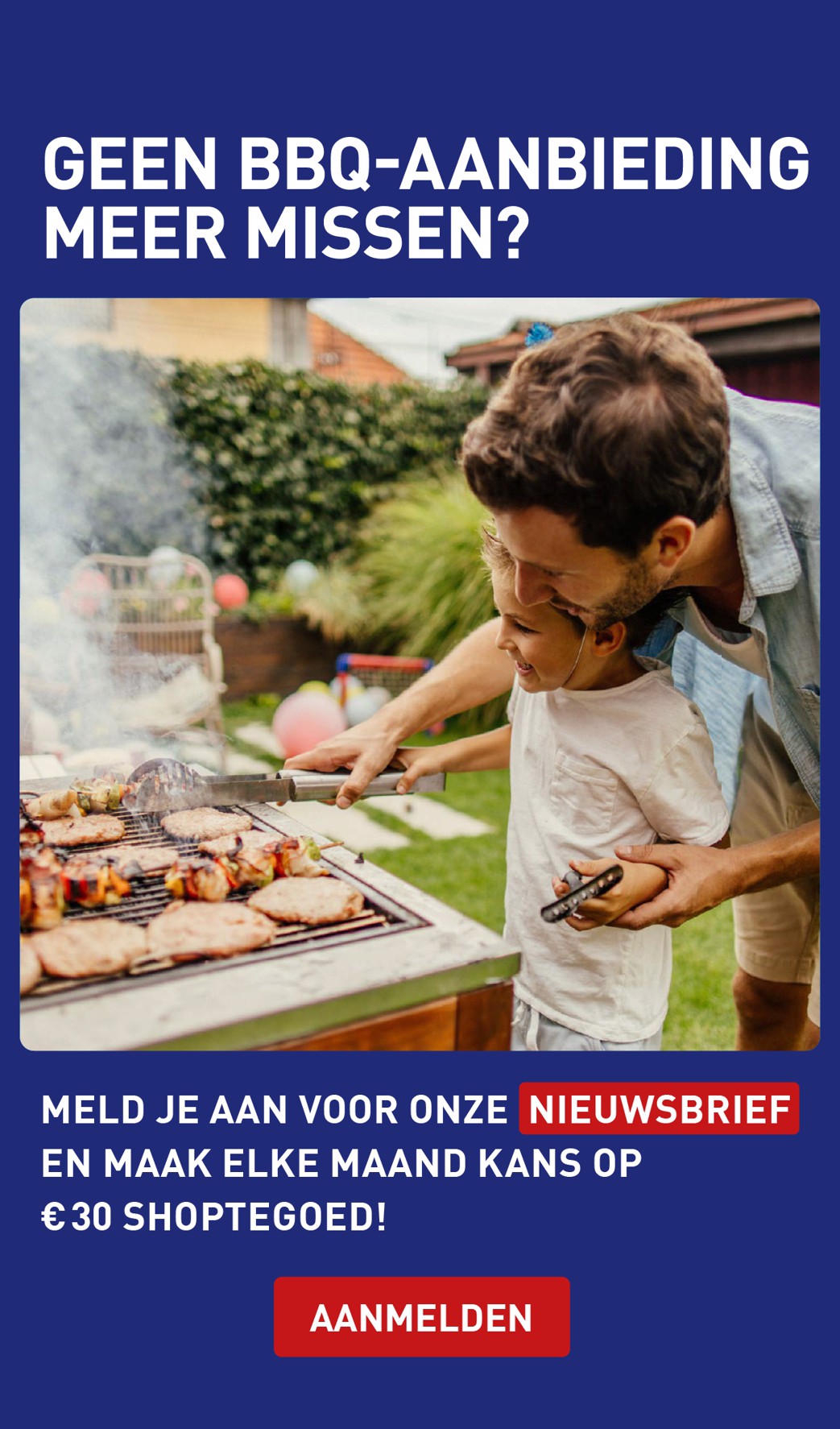 aldi - ALDI - BBQ special folder geldig vanaf 04-06 t/m 17-06 - page: 31