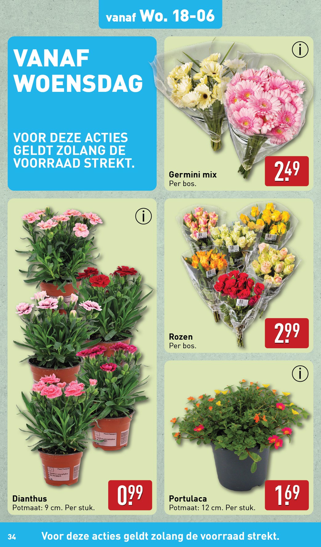 aldi - ALDI folder geldig vanaf 16-06 t/m 22-06 - page: 34 aldi - ALDI folder geldig vanaf 16-06 t/m 22-06 - page: 34