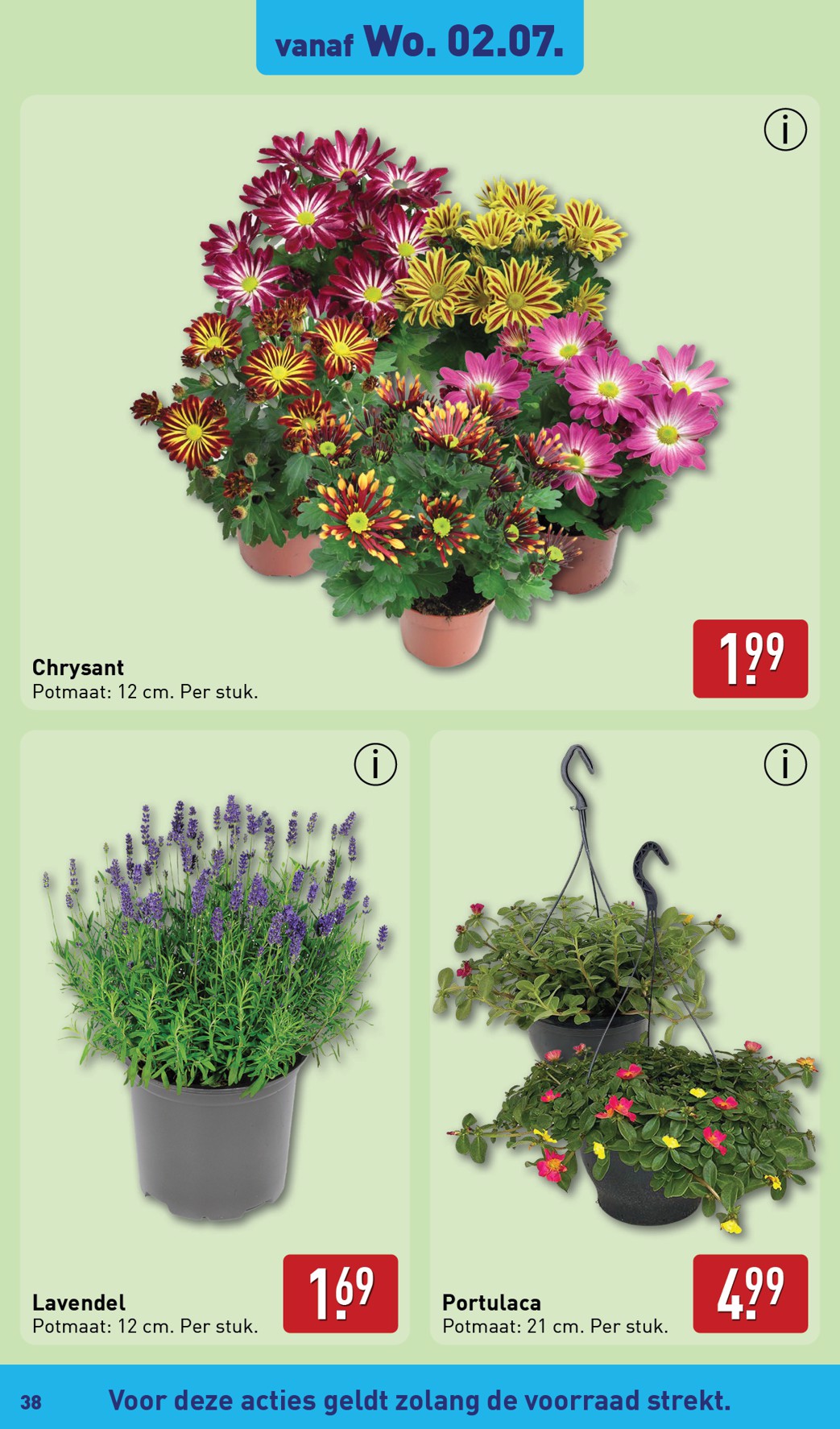 aldi - ALDI folder geldig vanaf 30-06 t/m 06-07 - page: 38 aldi - ALDI folder geldig vanaf 30-06 t/m 06-07 - page: 38