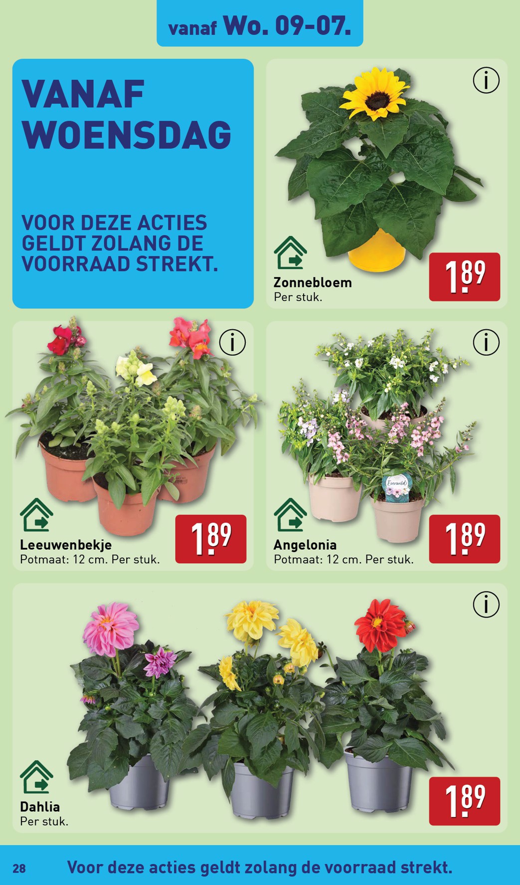 aldi - ALDI folder geldig vanaf 07-07 t/m 13-07 - page: 28 aldi - ALDI folder geldig vanaf 07-07 t/m 13-07 - page: 28