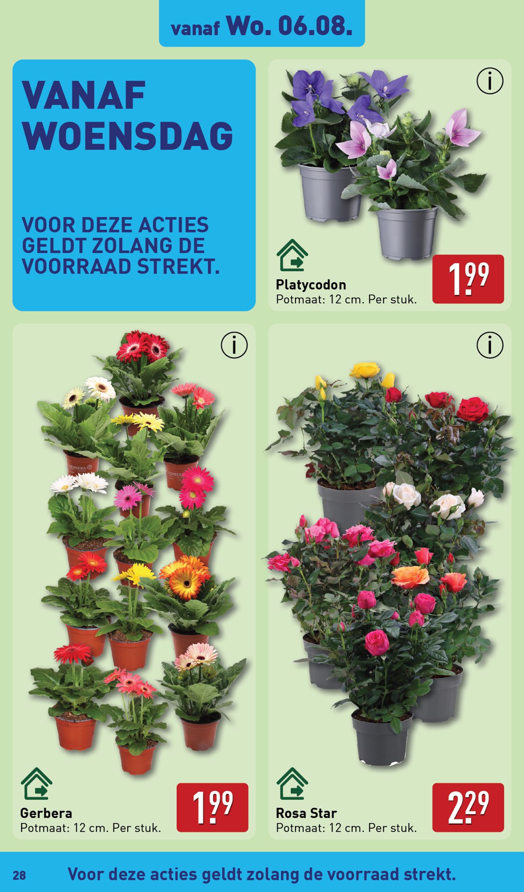 aldi - ALDI folder geldig vanaf 04-08 t/m 10-08 - page: 28 aldi - ALDI folder geldig vanaf 04-08 t/m 10-08 - page: 28