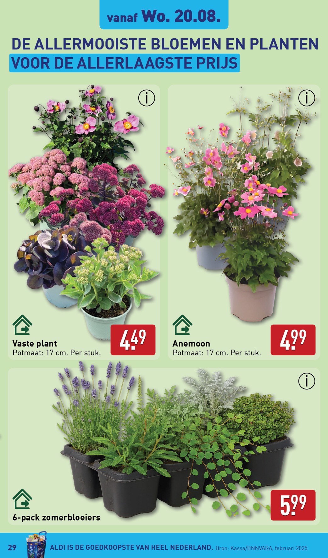 aldi - ALDI folder geldig vanaf 18-08 t/m 24-08 - page: 29