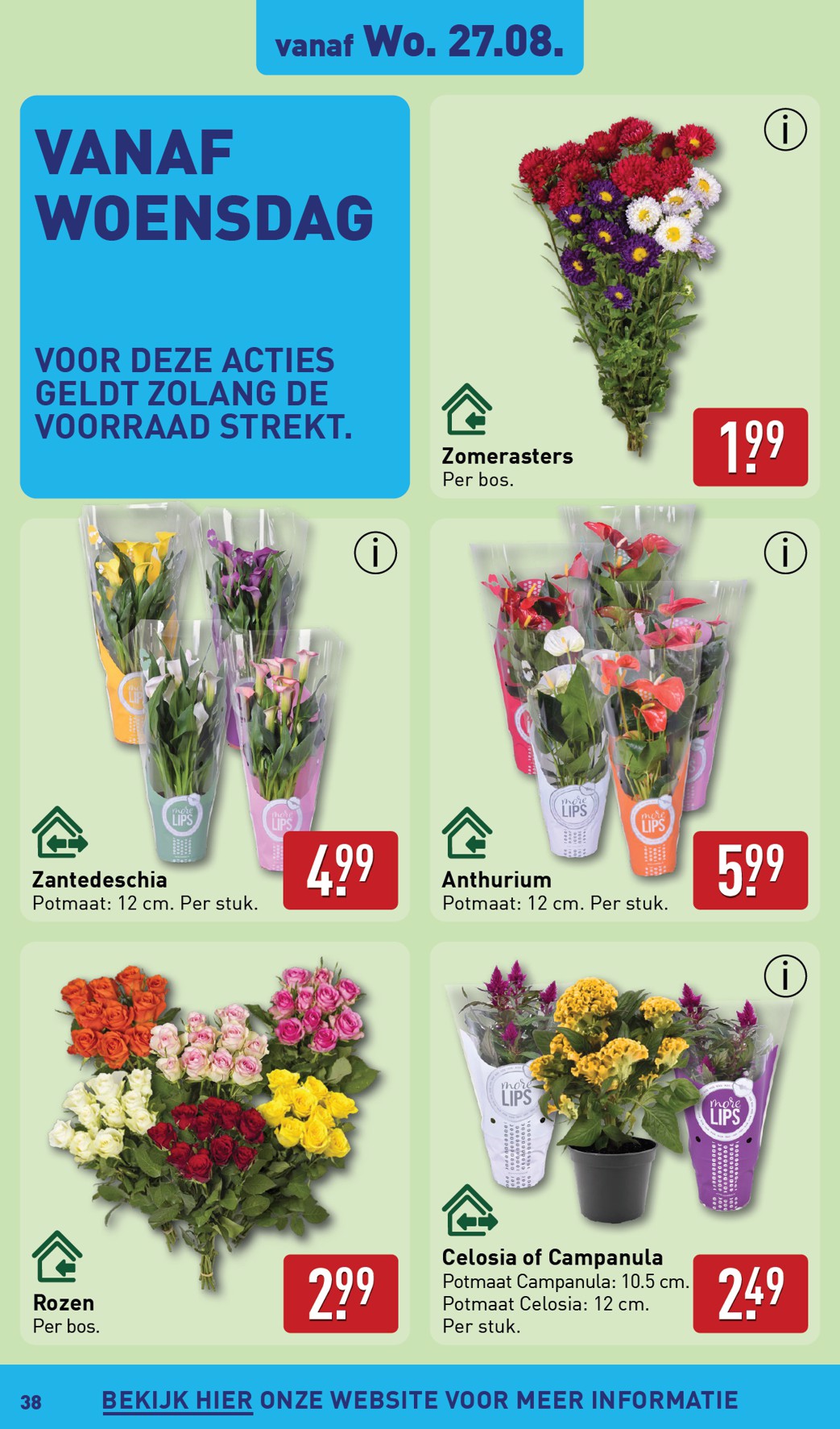aldi - ALDI folder geldig vanaf 25-08 t/m 31-08 - page: 38 aldi - ALDI folder geldig vanaf 25-08 t/m 31-08 - page: 38