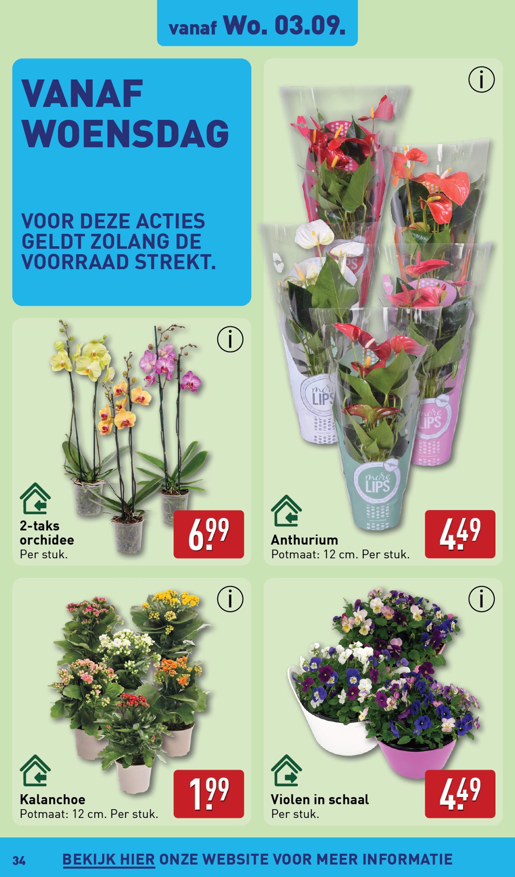 aldi - ALDI folder geldig vanaf 01-09 t/m 07-09 - page: 34 aldi - ALDI folder geldig vanaf 01-09 t/m 07-09 - page: 34