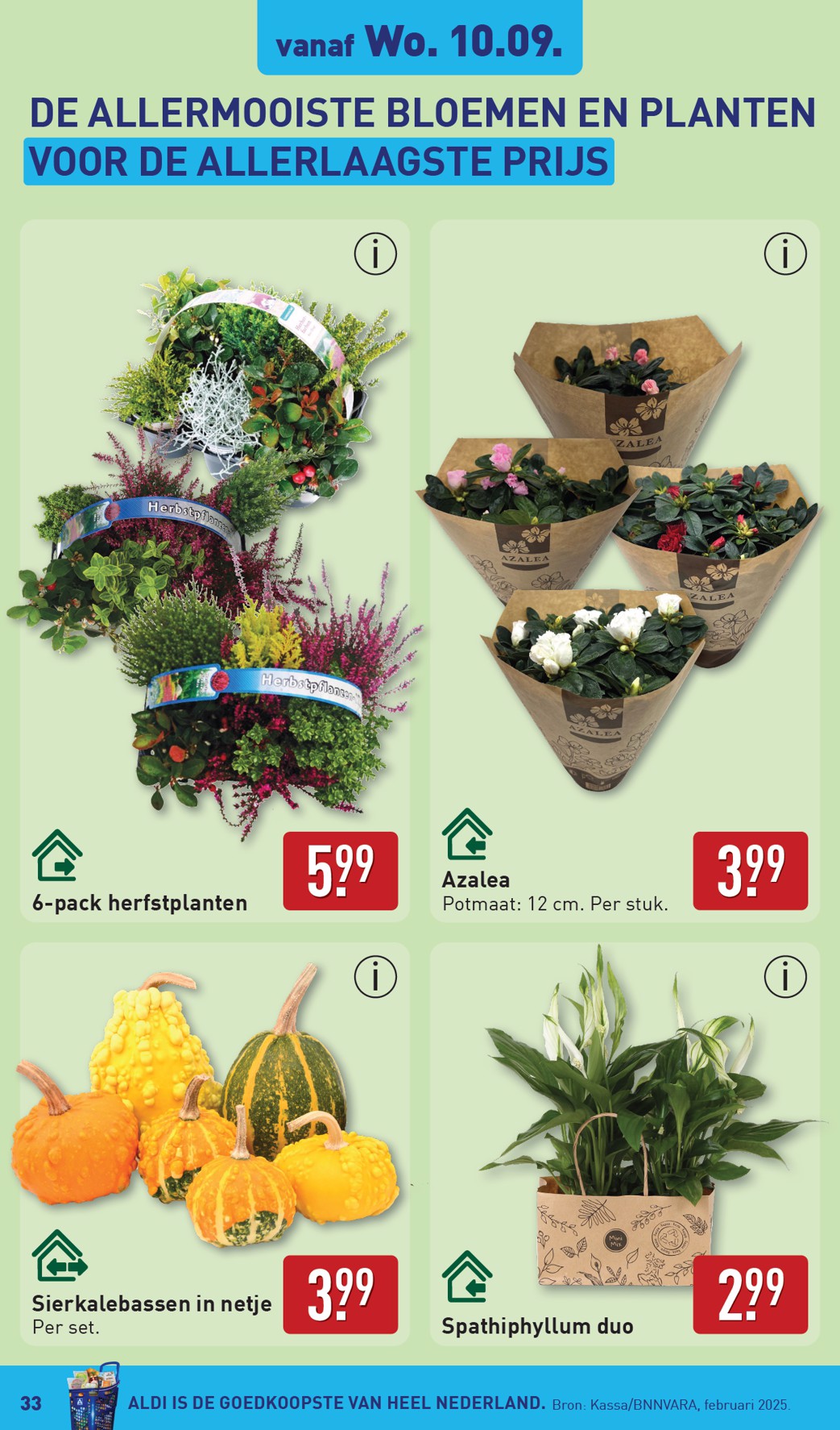aldi - ALDI folder geldig vanaf 08-09 t/m 14-09 - page: 33 aldi - ALDI folder geldig vanaf 08-09 t/m 14-09 - page: 33