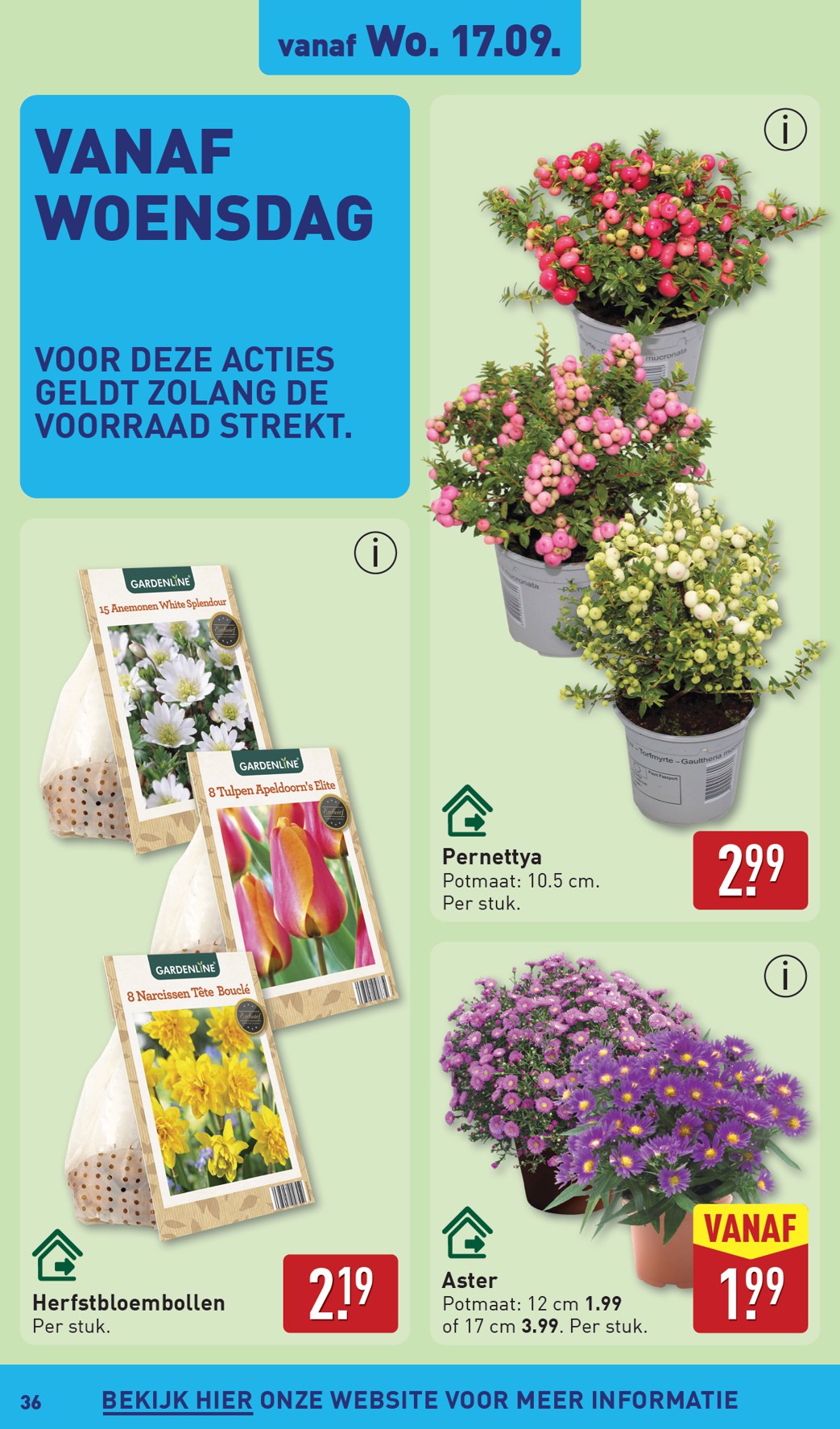 aldi - ALDI folder geldig vanaf 15-09 t/m 21-09 - page: 36