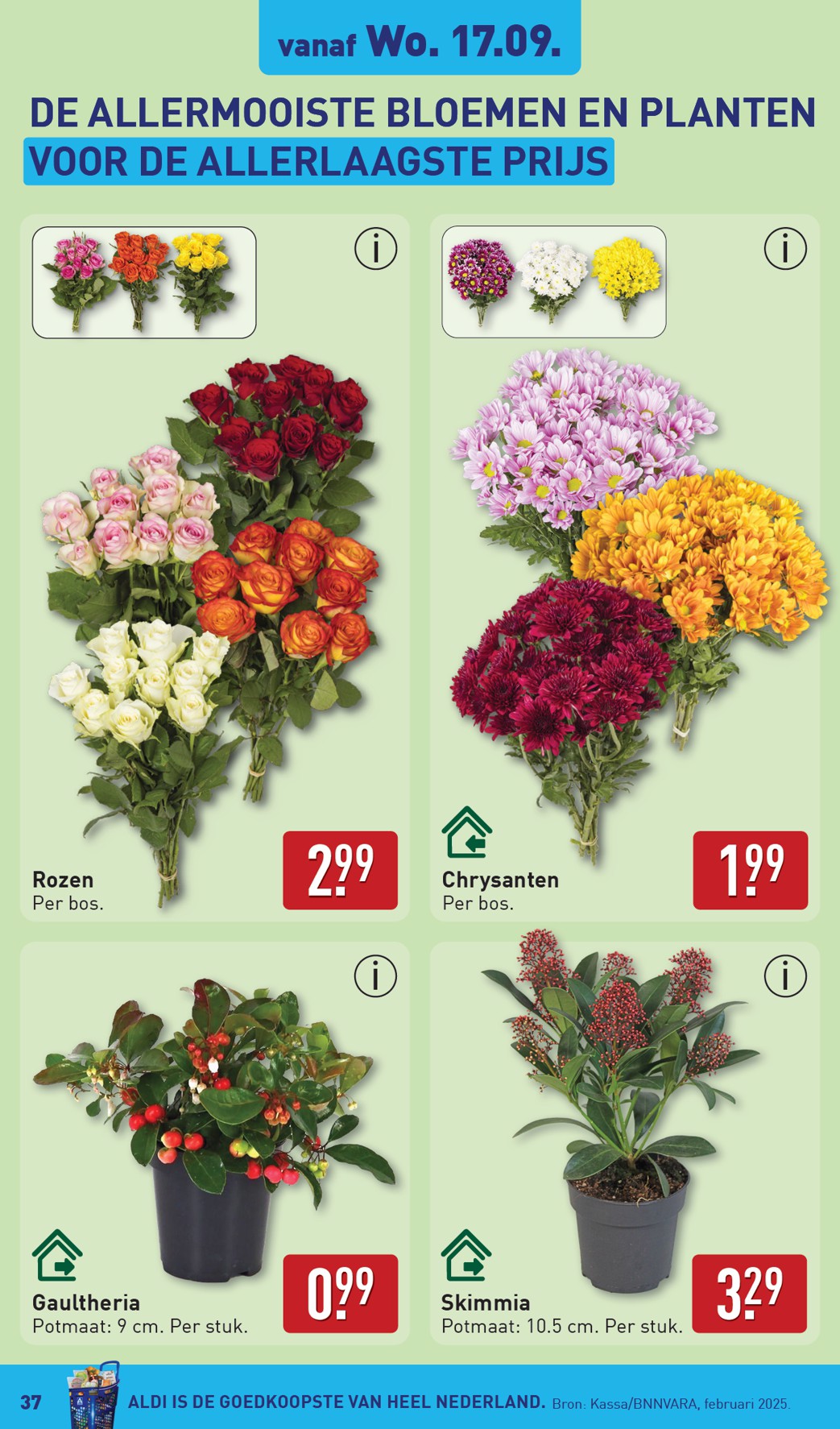 aldi - ALDI folder geldig vanaf 15-09 t/m 21-09 - page: 37
