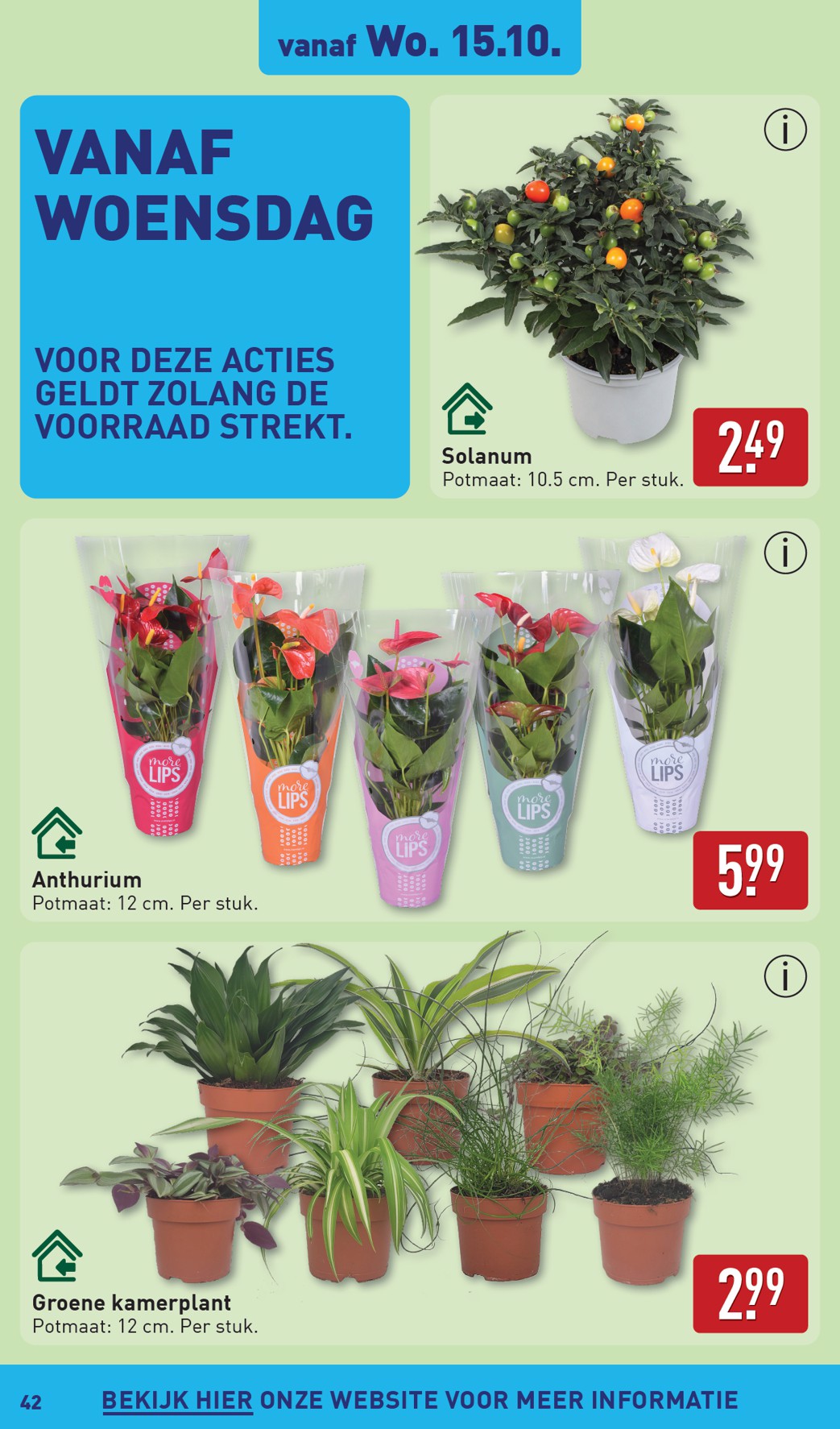 aldi - ALDI folder geldig vanaf 13-10 t/m 19-10 - page: 42