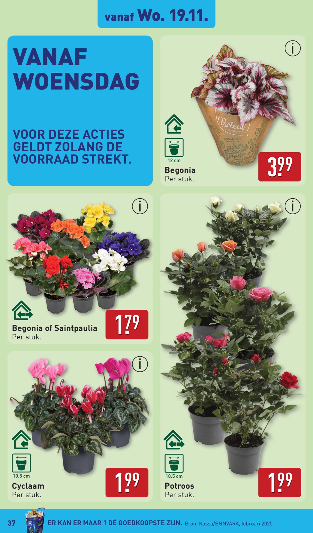 aldi - De ALDI folder geldig vanaf 17-11 t/m 23-11 - page: 37