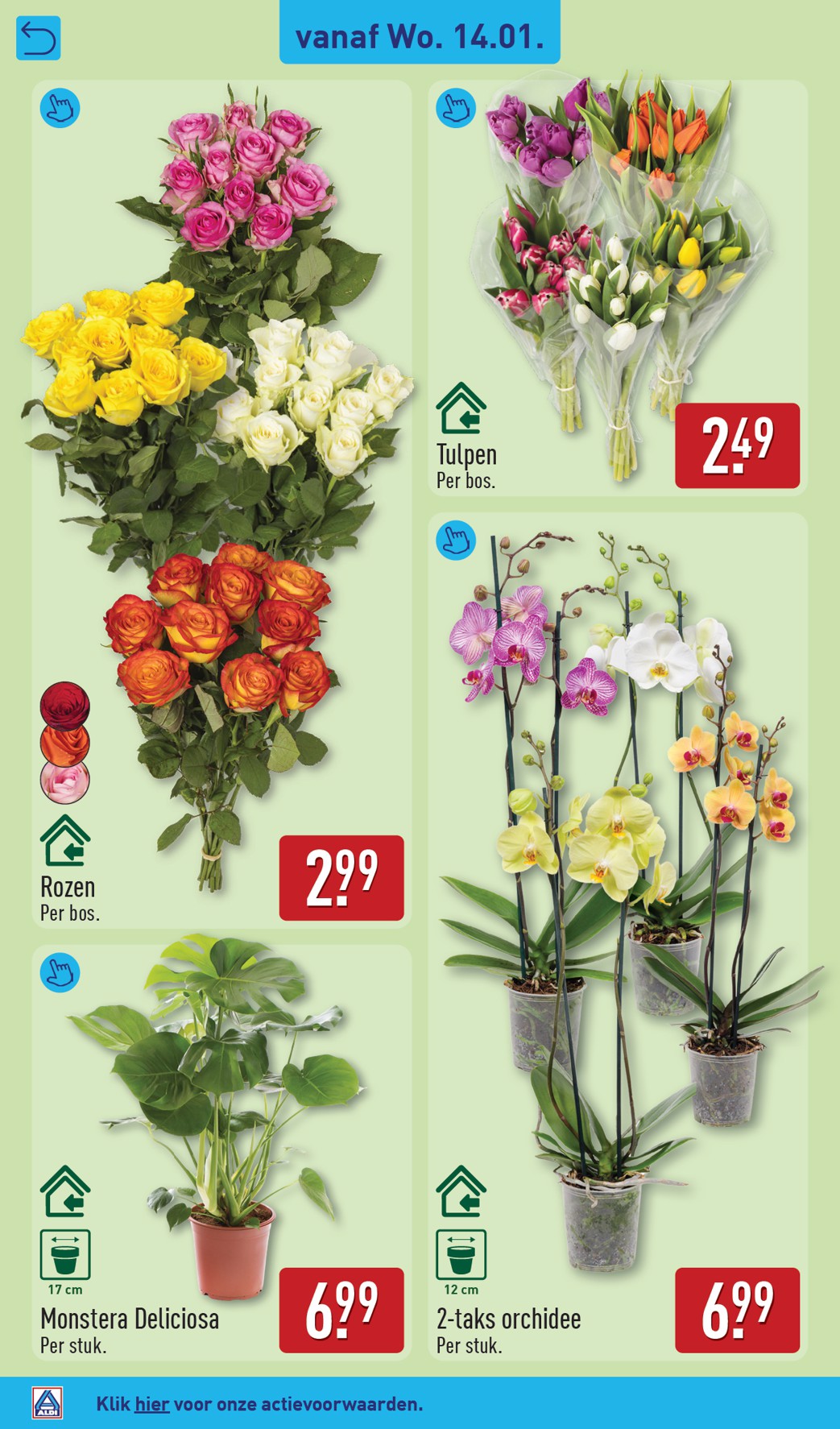 aldi - De ALDI folder geldig vanaf 12-01 t/m 18-01 - page: 30