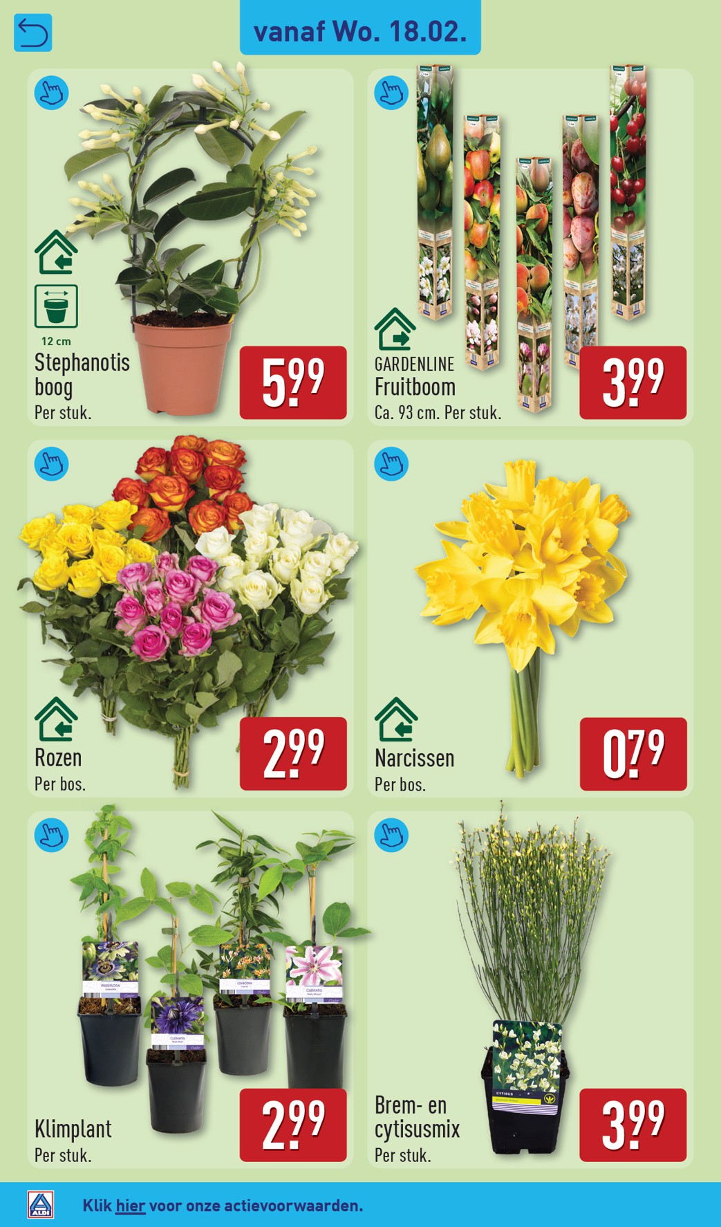 aldi - De ALDI - Non Food folder geldig vanaf 18-02-2026 t/m 22-02-2026 - page: 10