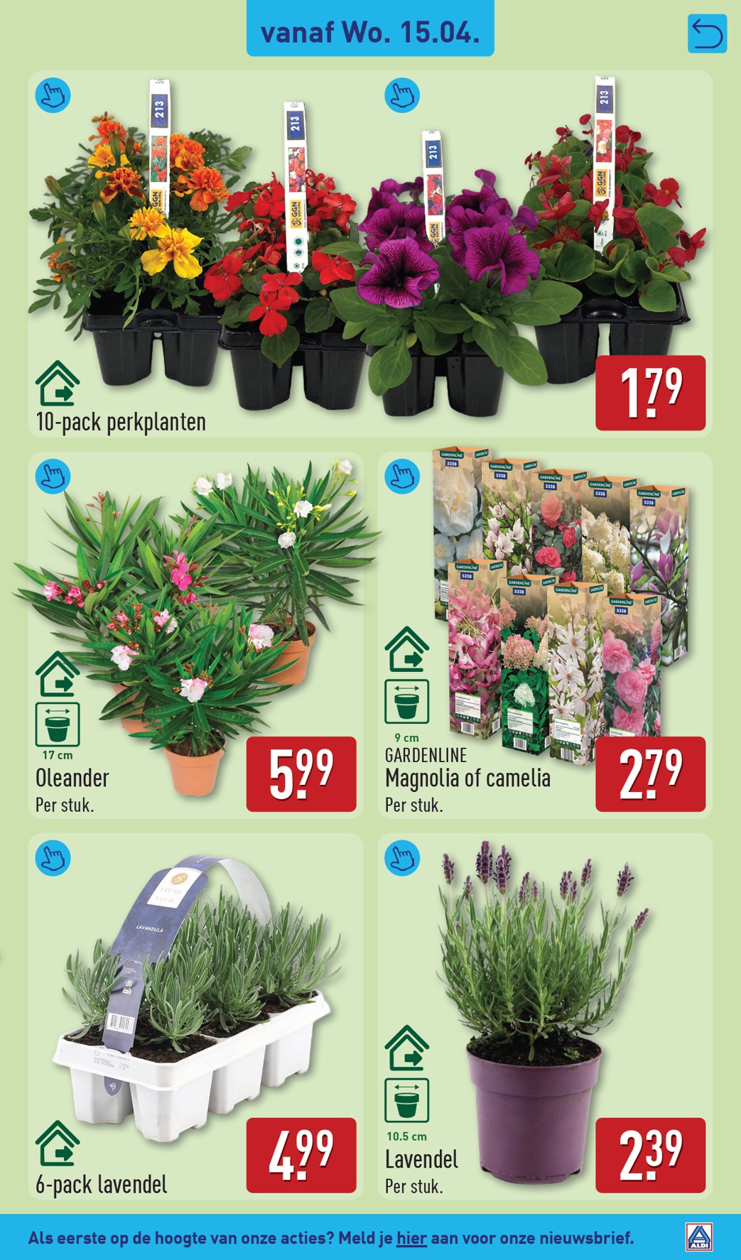 aldi - ALDI folder voor volgende week van maandag 13-04-2026 tot zondag 19-04-2026 - page: 41