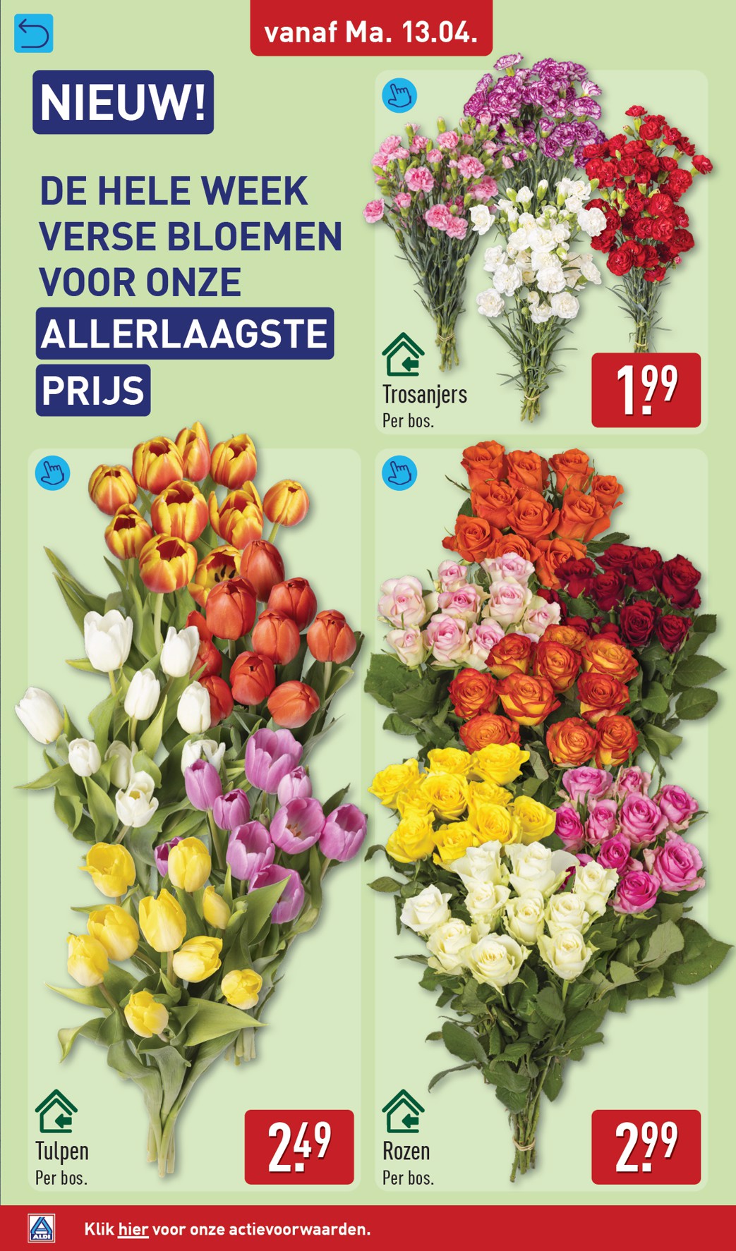 aldi - ALDI - Magnolia folder voor volgende week van maandag 13-04-2026 tot zondag 19-04-2026 - page: 40