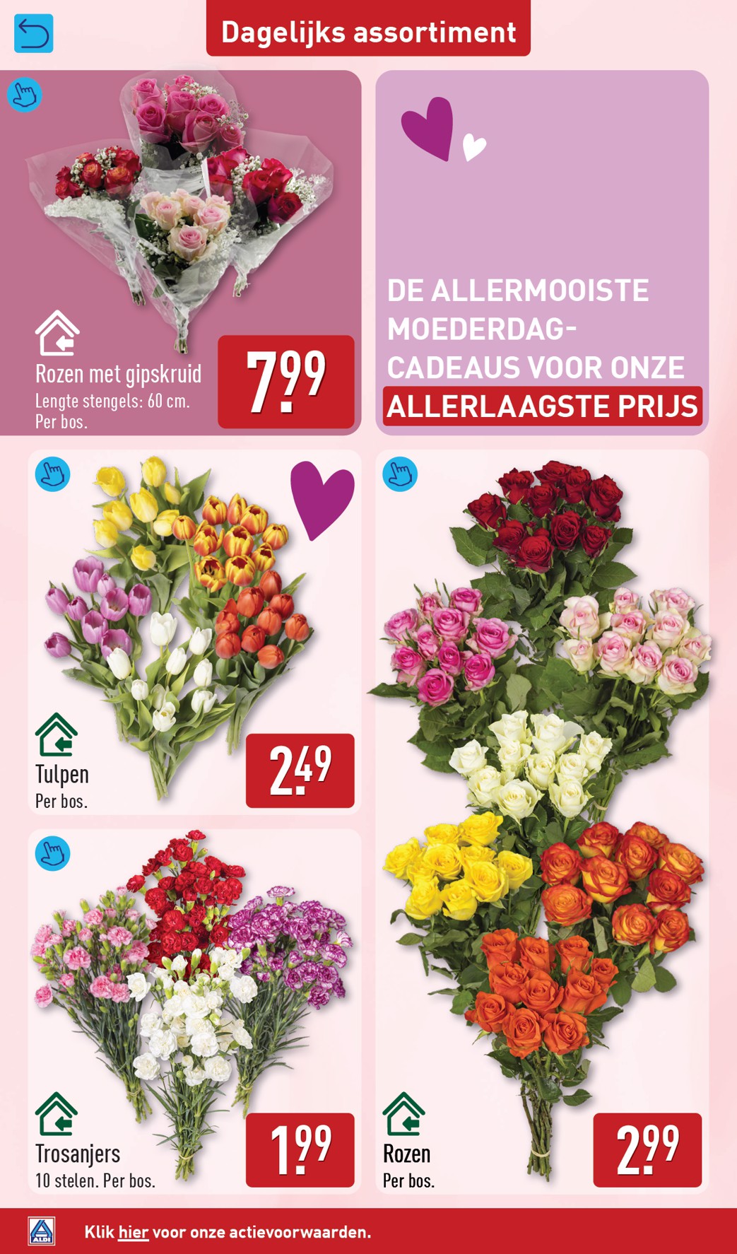 aldi - ALDI folder voor volgende week van maandag 04-05-2026 tot zondag 10-05-2026 - page: 38