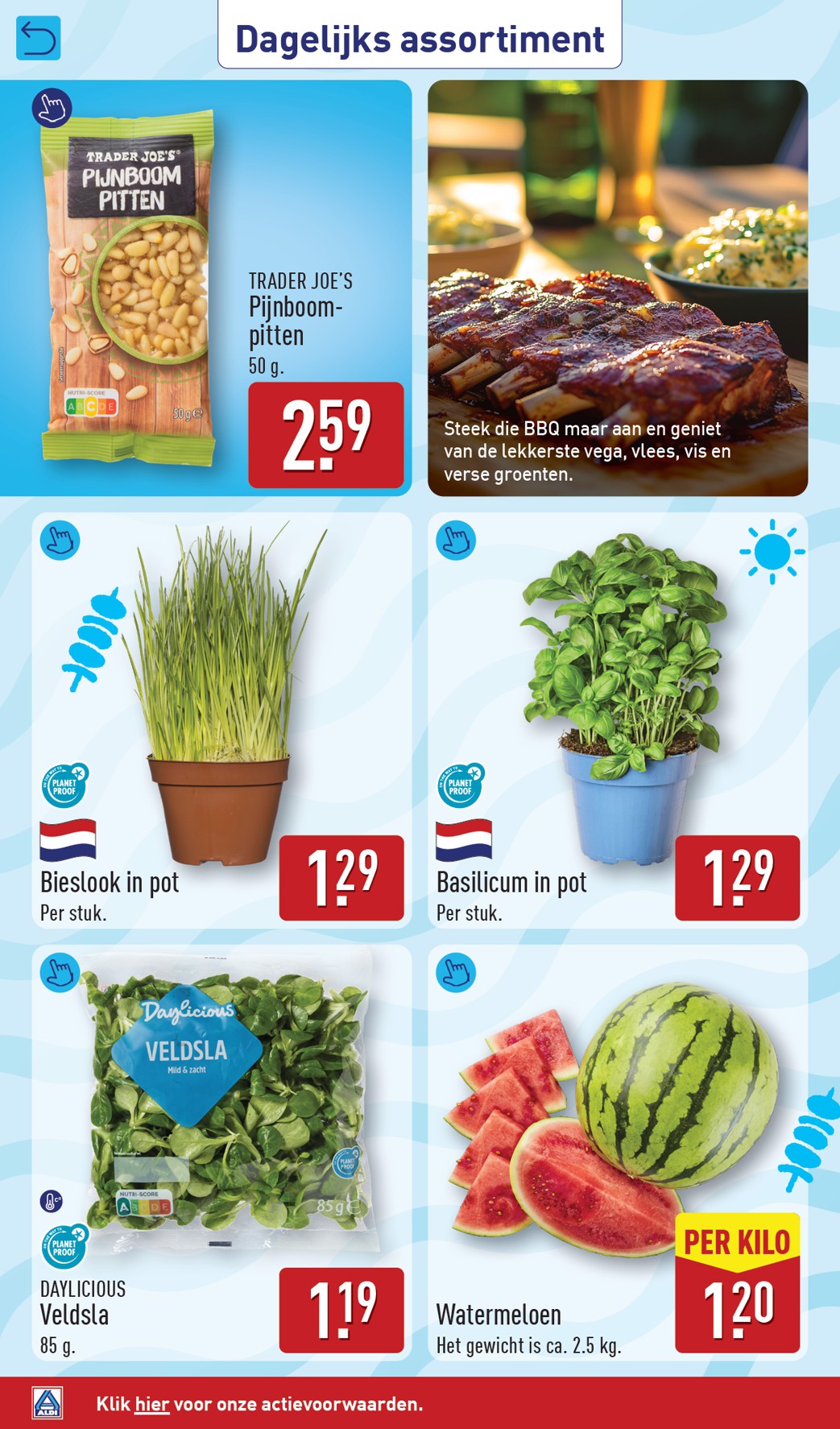 aldi - ALDI folder voor volgende week van maandag 04-05-2026 tot zondag 10-05-2026 - page: 32