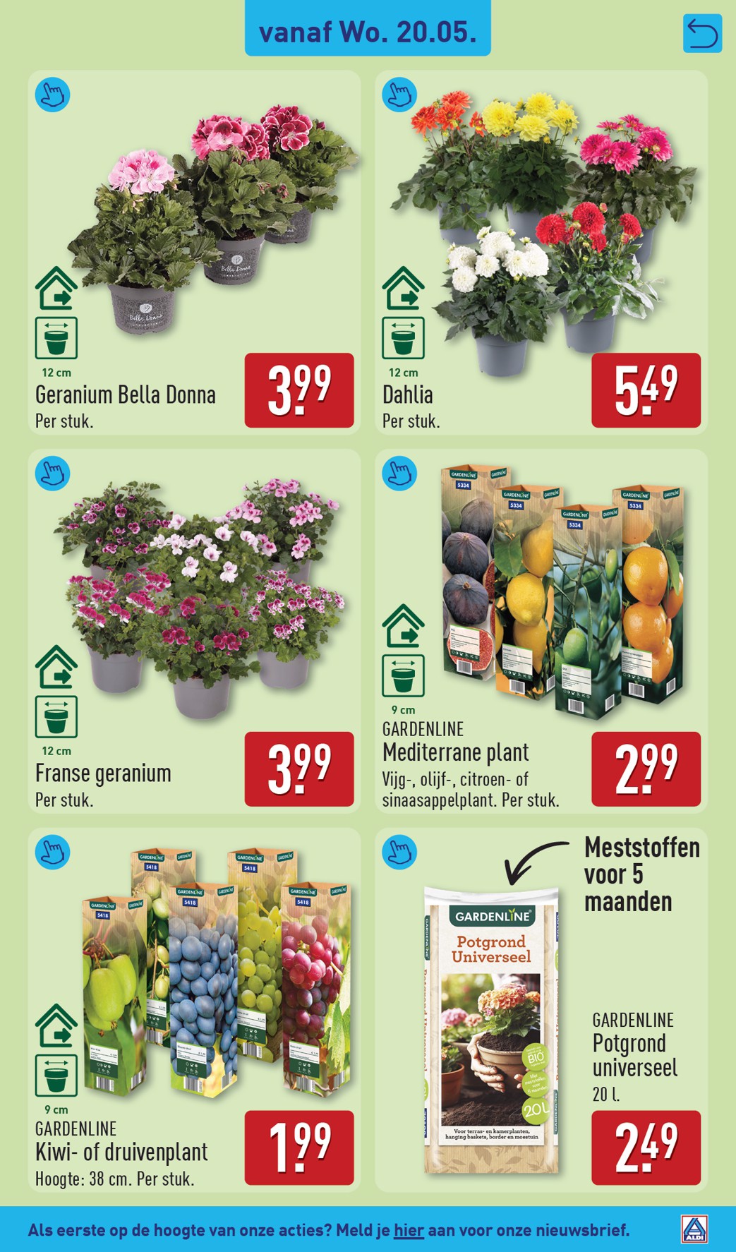 aldi - ALDI folder voor volgende week van maandag 18-05-2026 tot maandag 25-05-2026 - page: 41