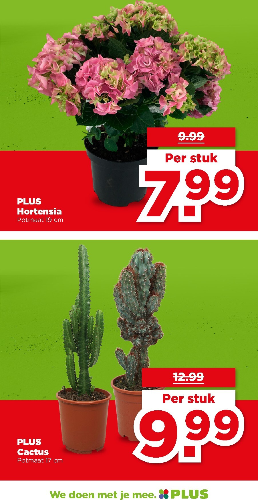 plus - PLUS folder voor volgende week van woensdag 27-05-2026 tot dinsdag 02-06-2026 - page: 37