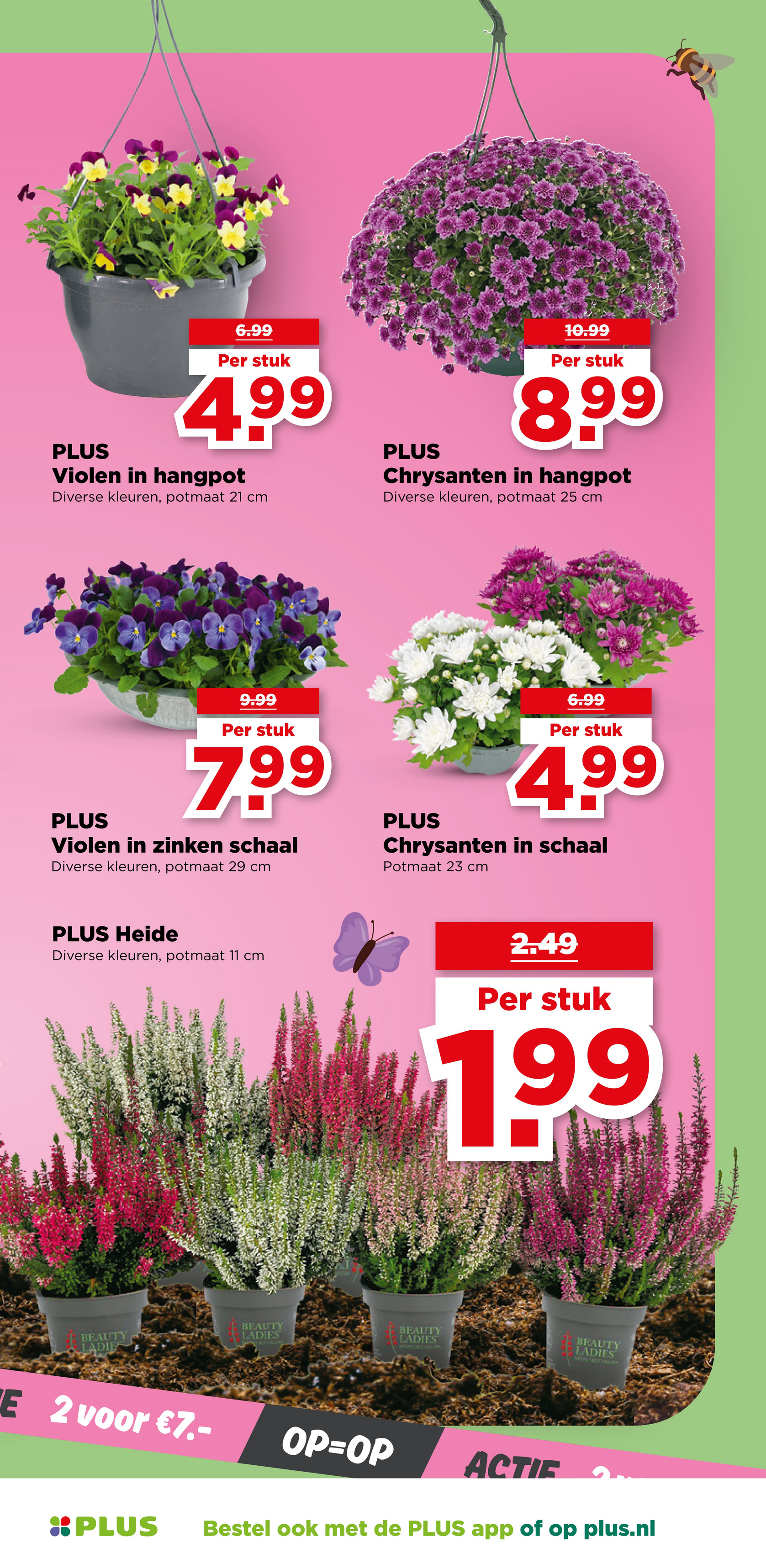 plus - PLUS folder geldig vanaf 24-09 t/m 30-09 - page: 51