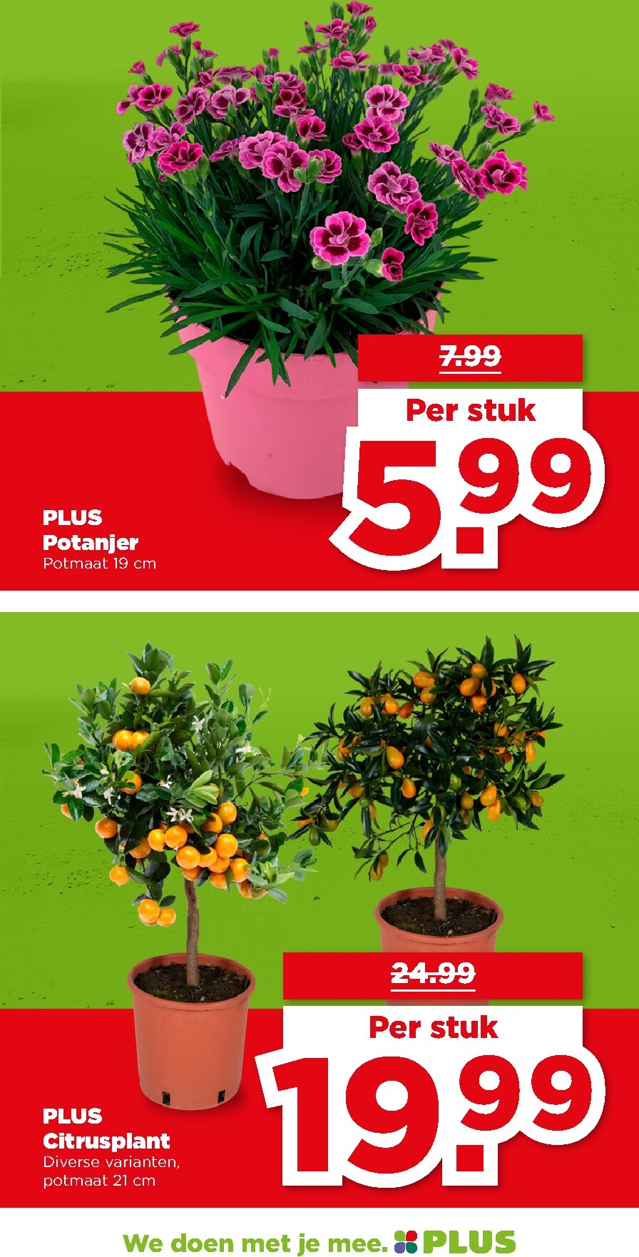 plus - PLUS folder voor volgende week van woensdag 13-05-2026 tot dinsdag 19-05-2026 - page: 41