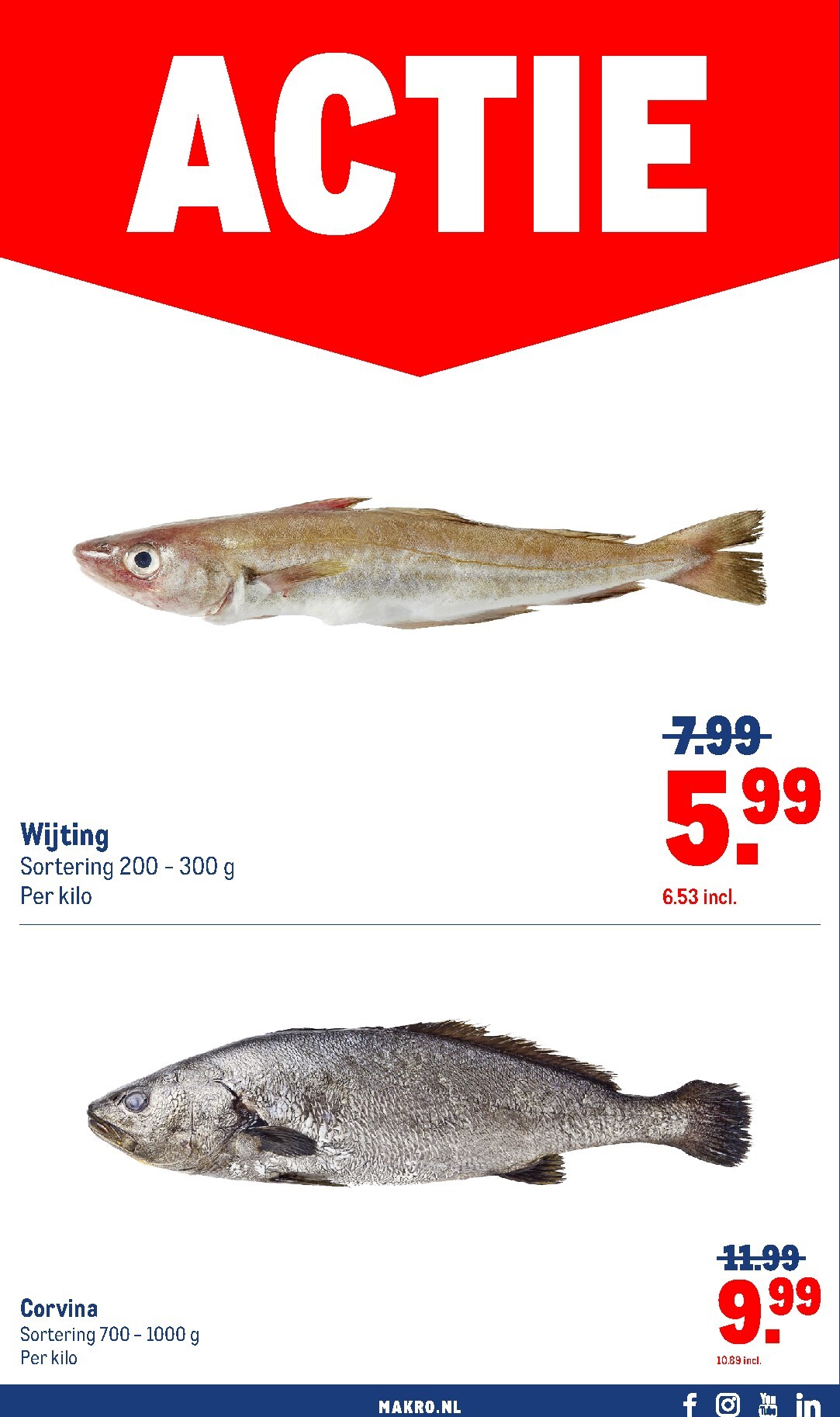 makro - Makro folder voor volgende week van woensdag 21-10-2026 tot zondag 01-11-2026 - page: 32